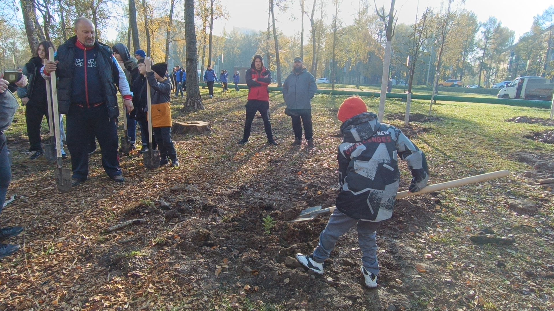 озеленение, лобня, посадка деревьев,