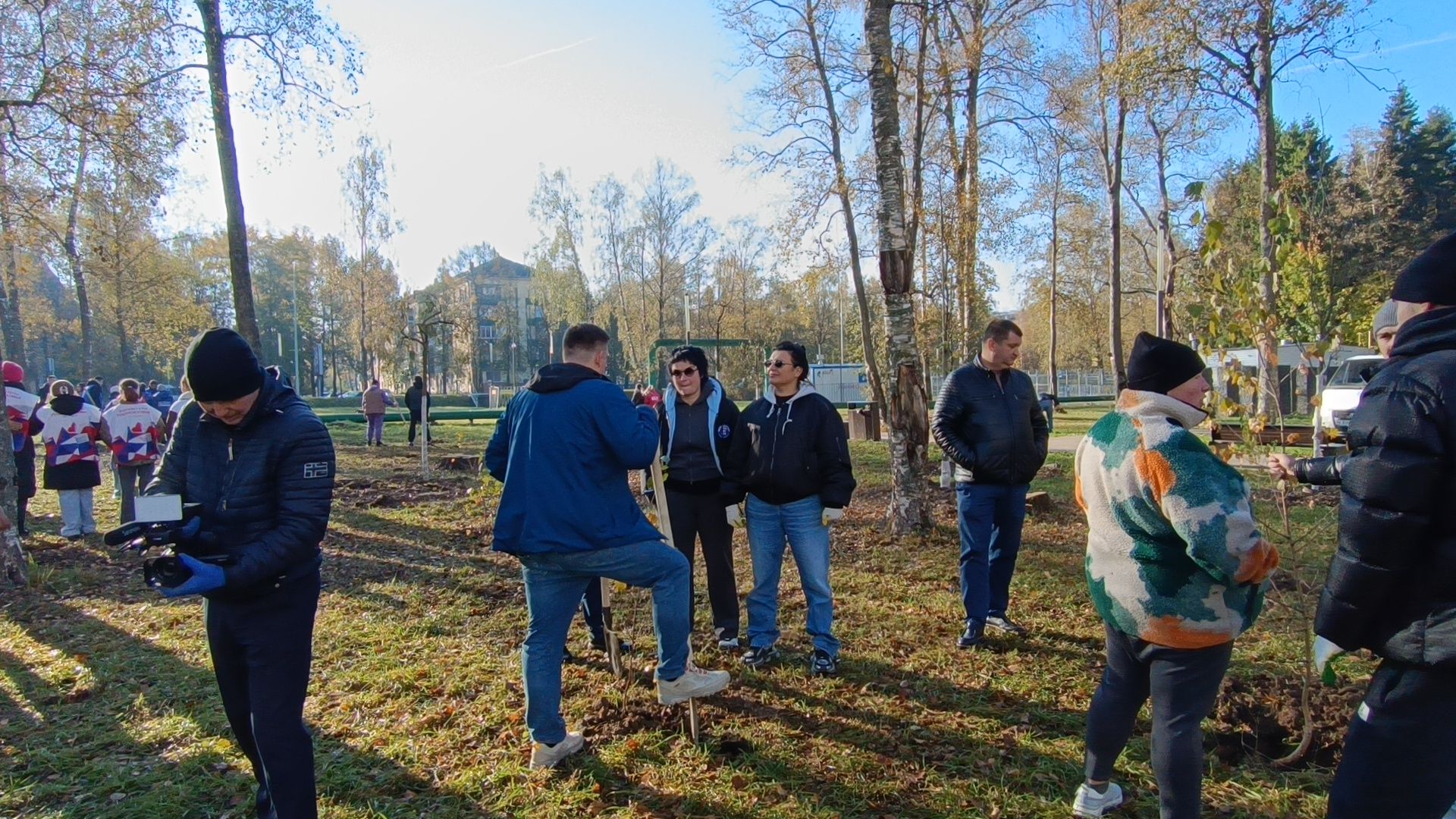 озеленение, лобня, посадка деревьев,