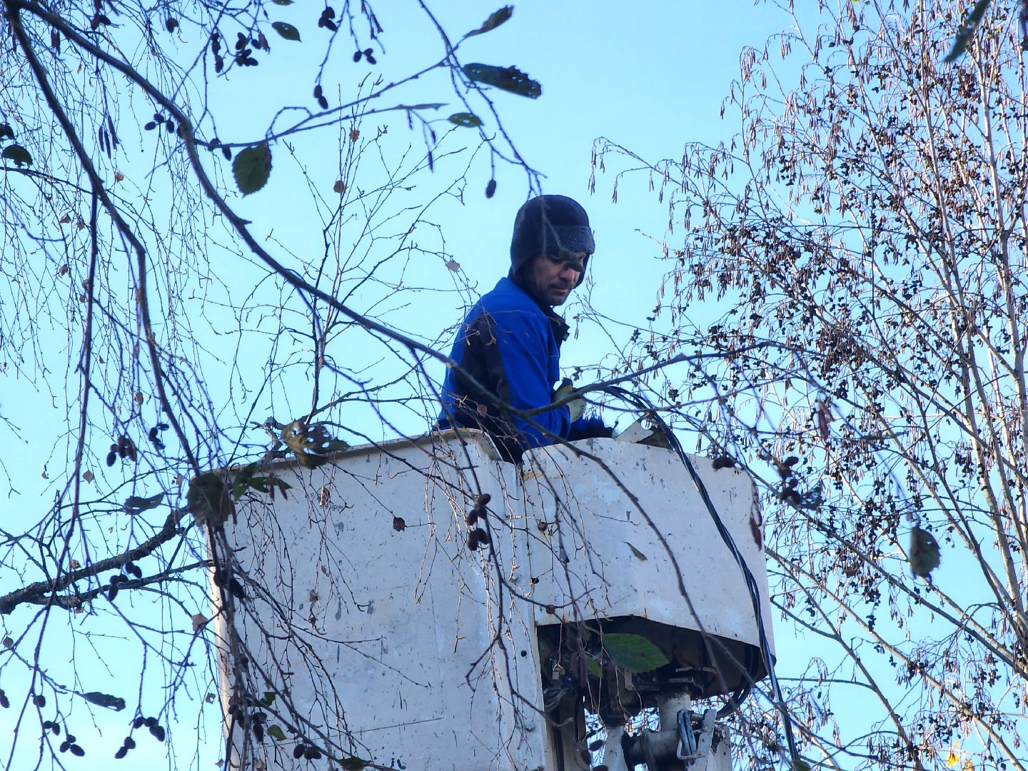 Дубна, Светлый город, Благоустройство,