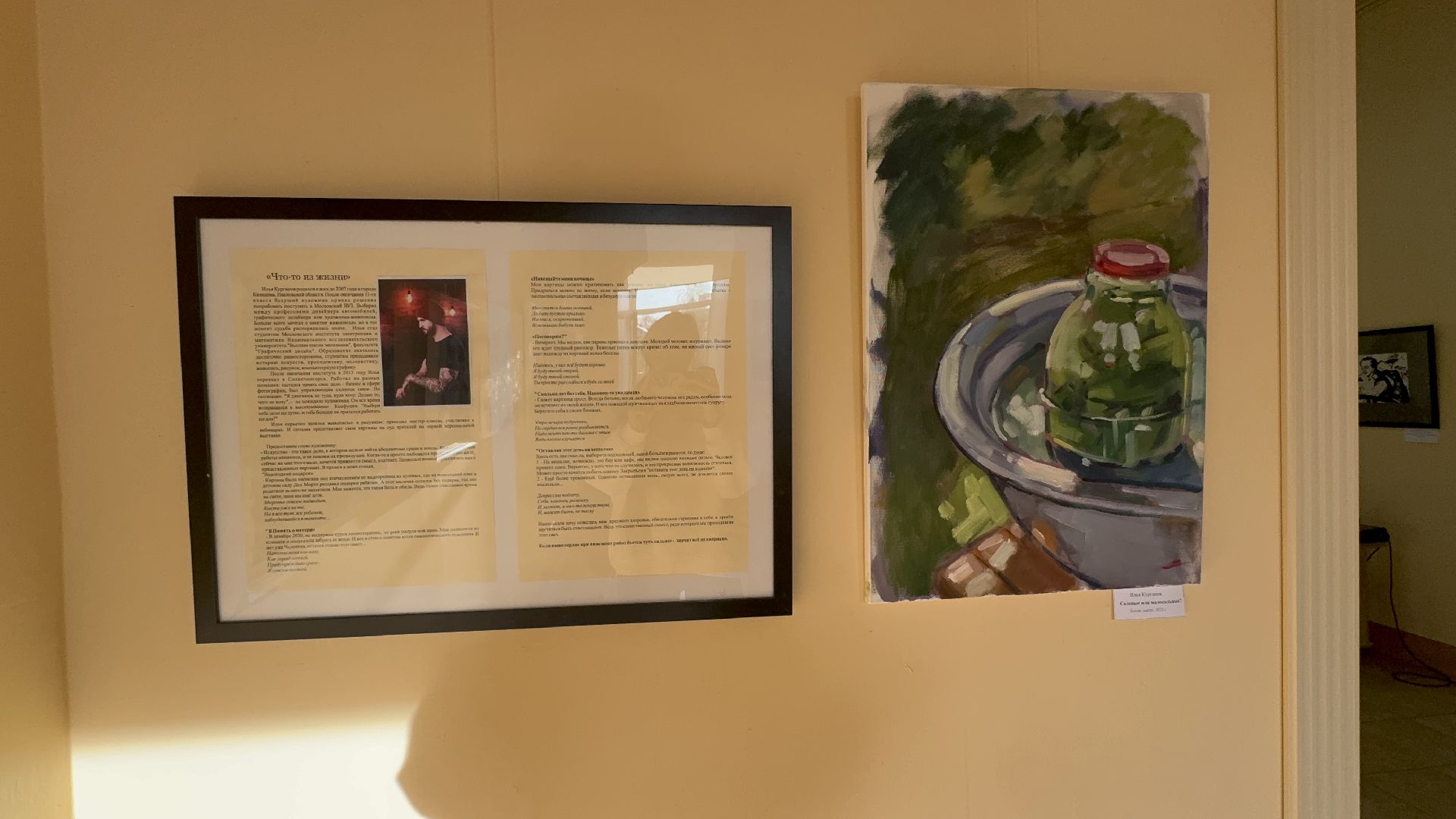 Солнечногорск, Выставка, Художник, Картины, Жители,