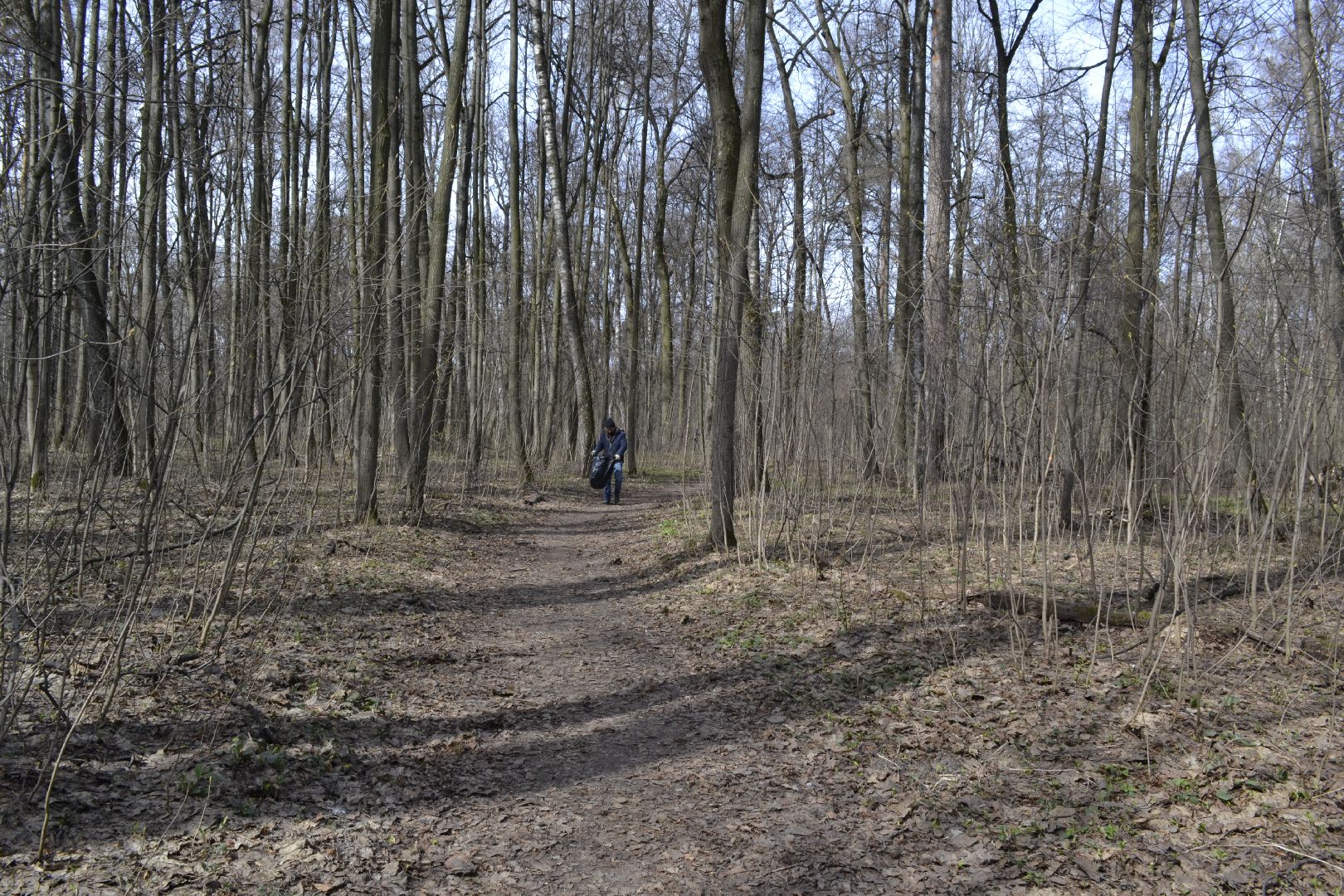Балашиха, Подмосковье, субботники, лесопарки, Павлинский лесопарк, школьники