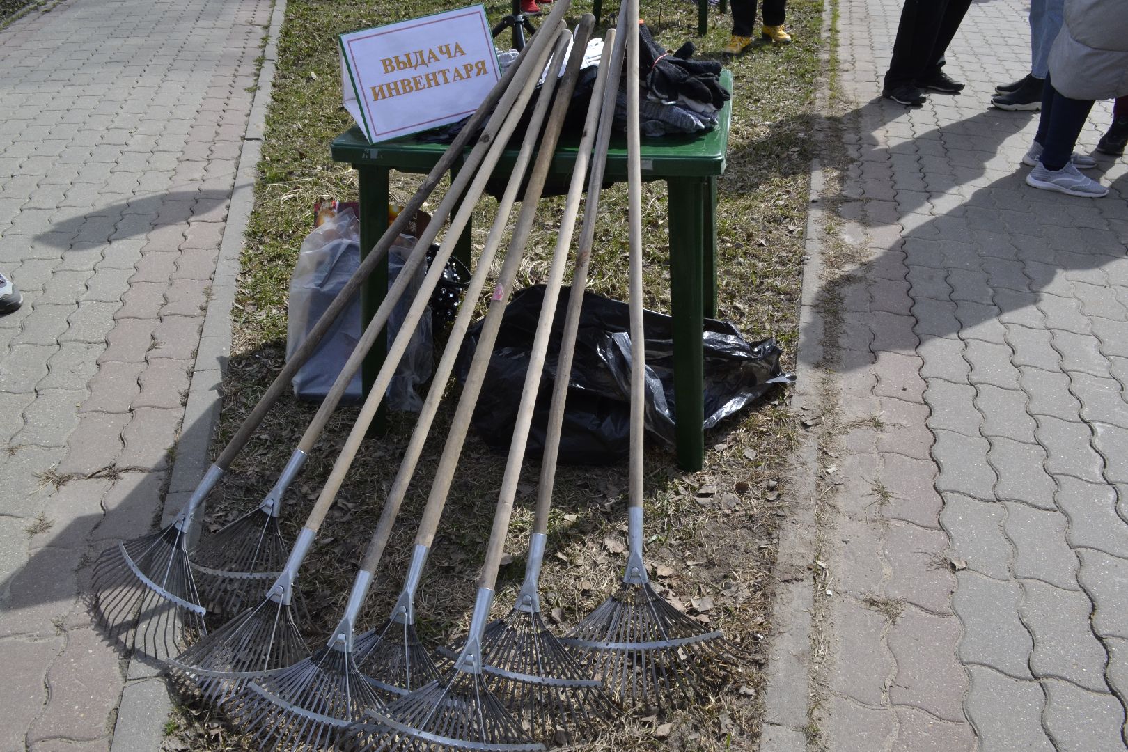 Балашиха, Подмосковье, субботники, лесопарки, Павлинский лесопарк, школьники
