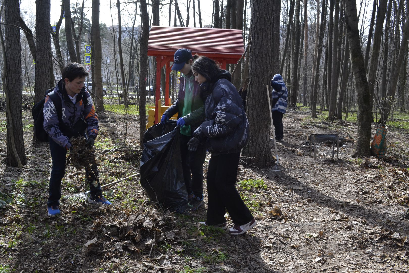 Балашиха, Подмосковье, субботники, лесопарки, Павлинский лесопарк, школьники