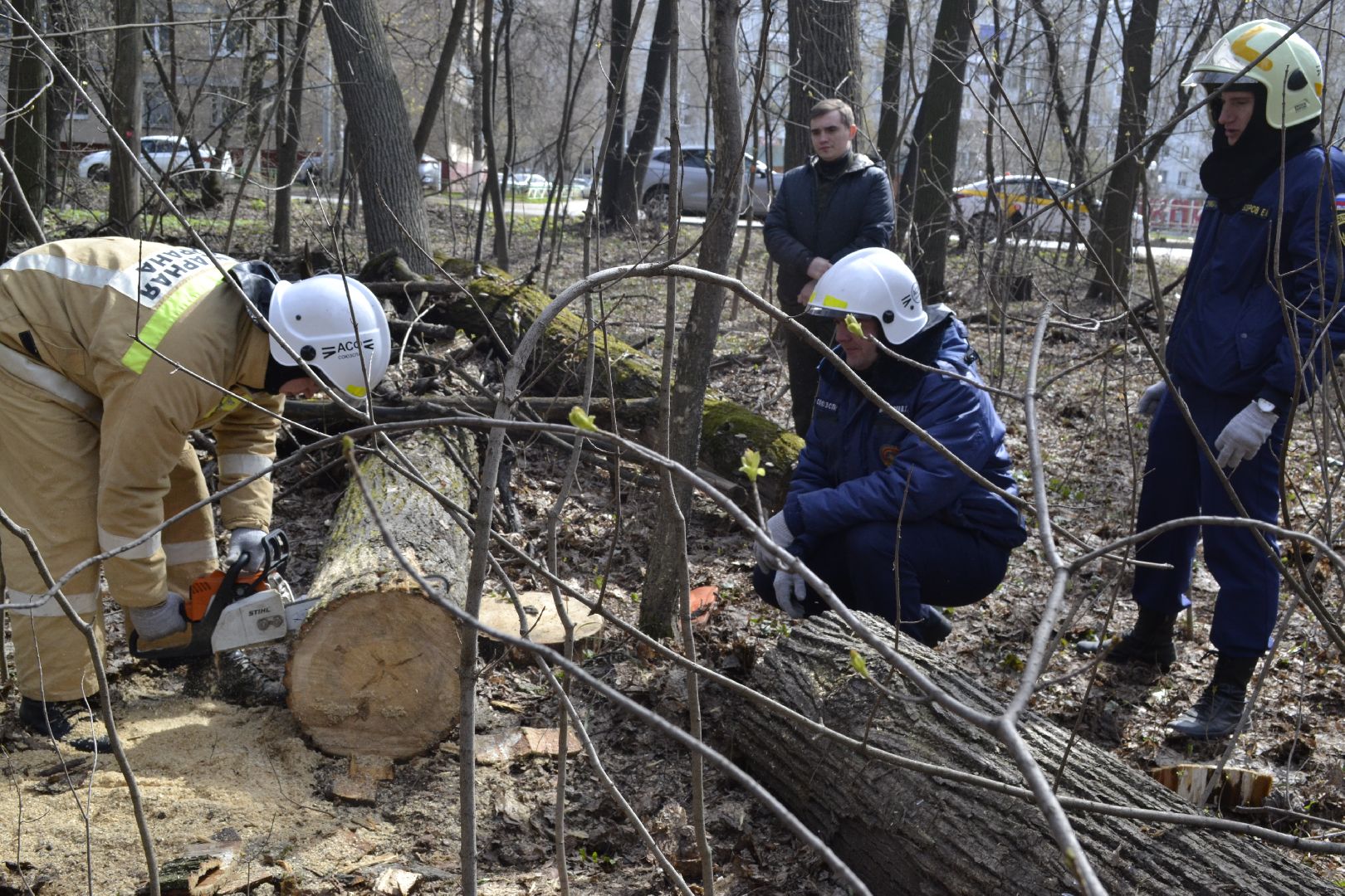 Балашиха, Подмосковье, субботники, лесопарки, Павлинский лесопарк, школьники