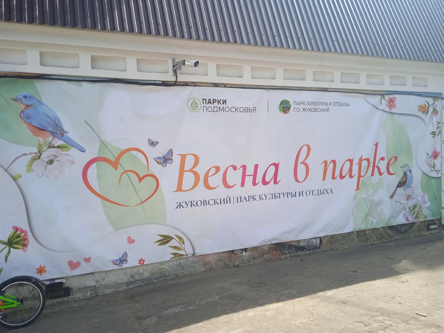 Бодрый, день, парк, сквер, 28 квартал, фонтан, забег