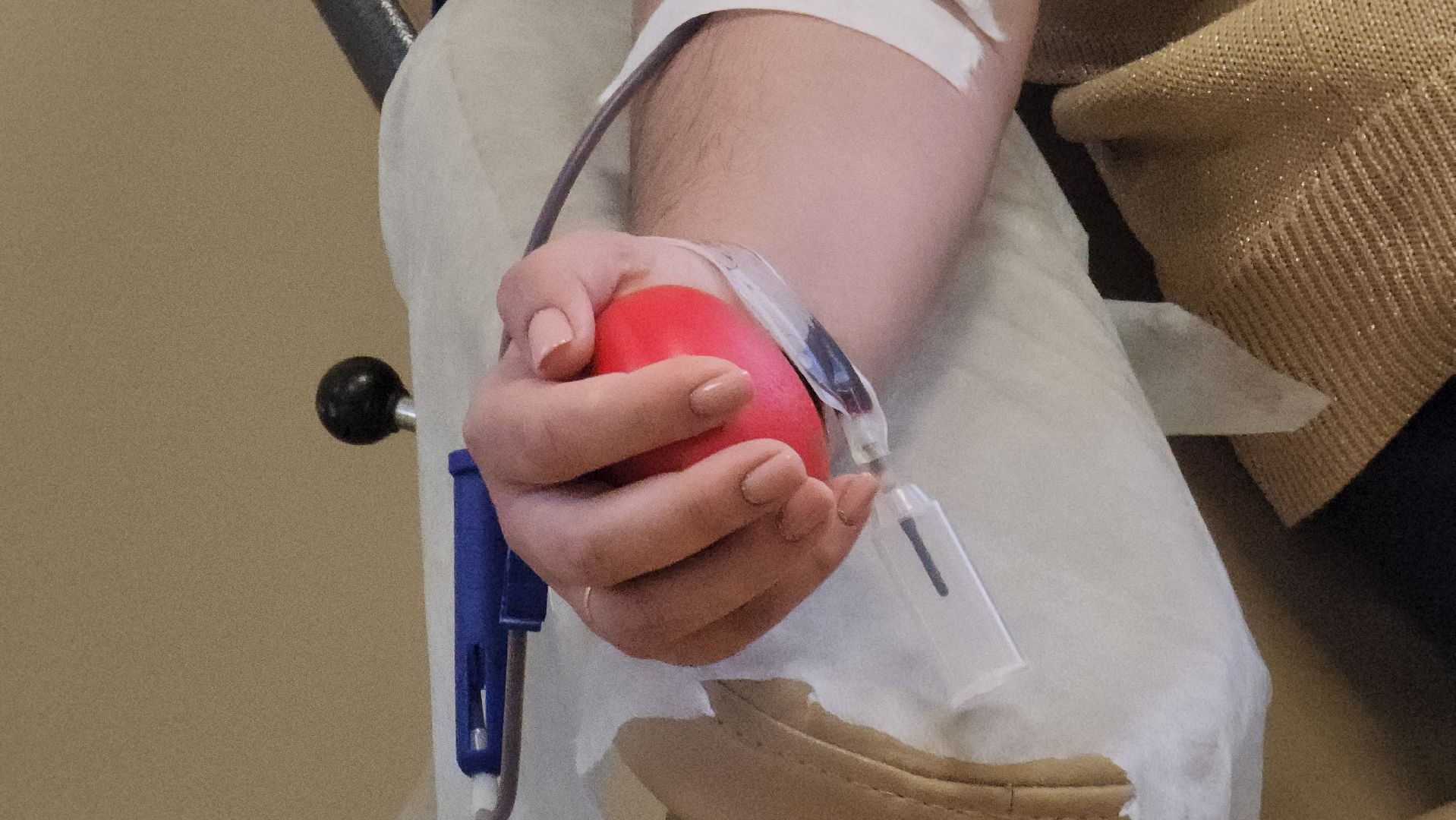 донорская акция, красногорск,