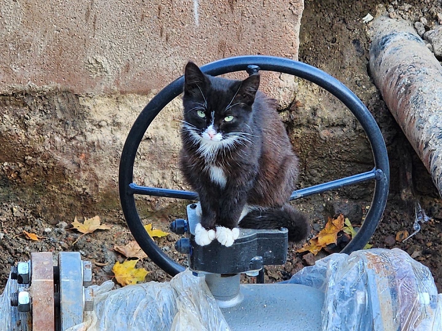 жкх, жкх и благоустройство, волоколамск, отопительный сезон 2024-2025,