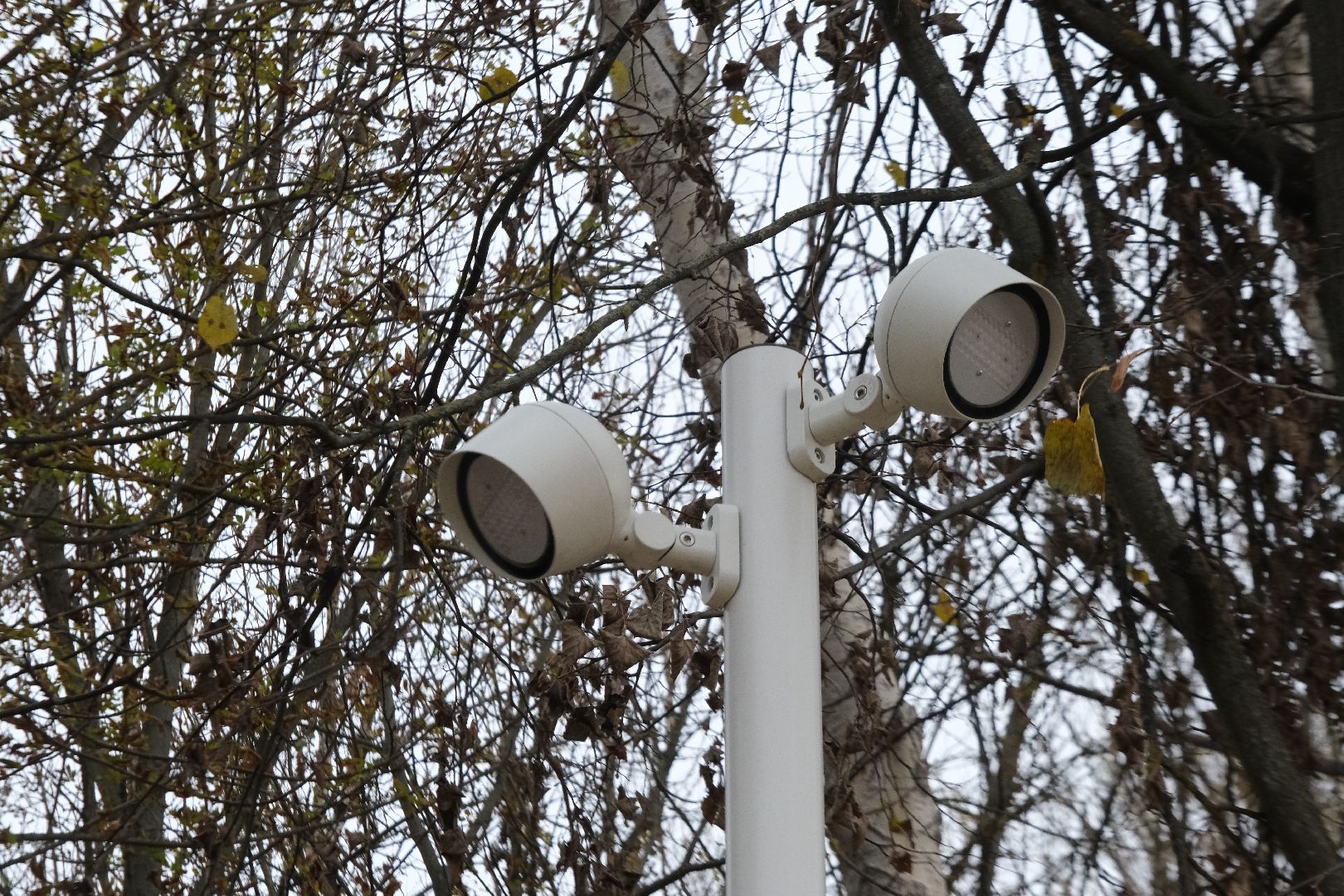 пущино, серпухов, благоустройство, 80 - летие победы,мемориал,