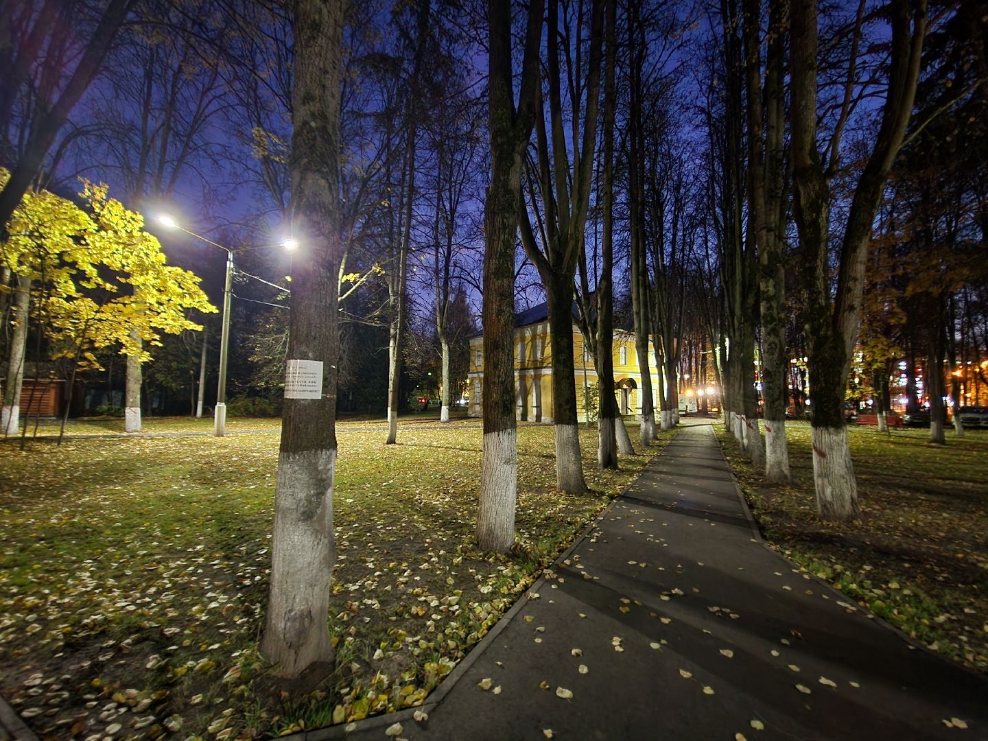 красногорск, выездная администрация, освещение улиц,