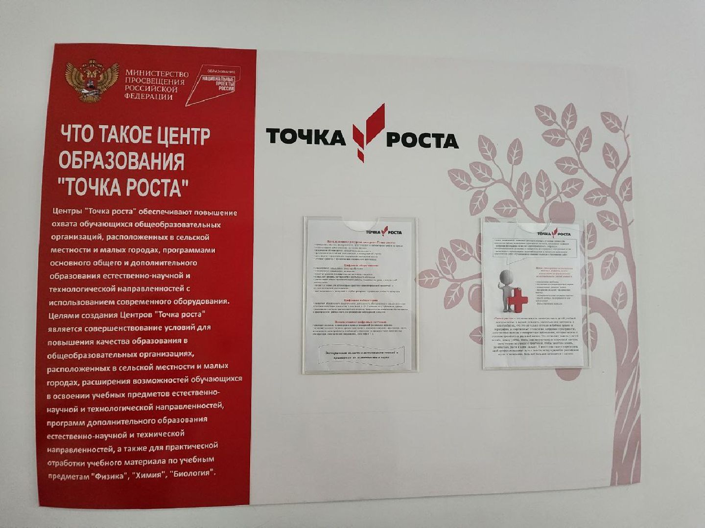 можайск, можайский городской округ, подмосковье, точка роста, образование, образовательный центр, школьники, нацпроект, современная школа, федеральный проект, школы подмосковья, школа можайска,