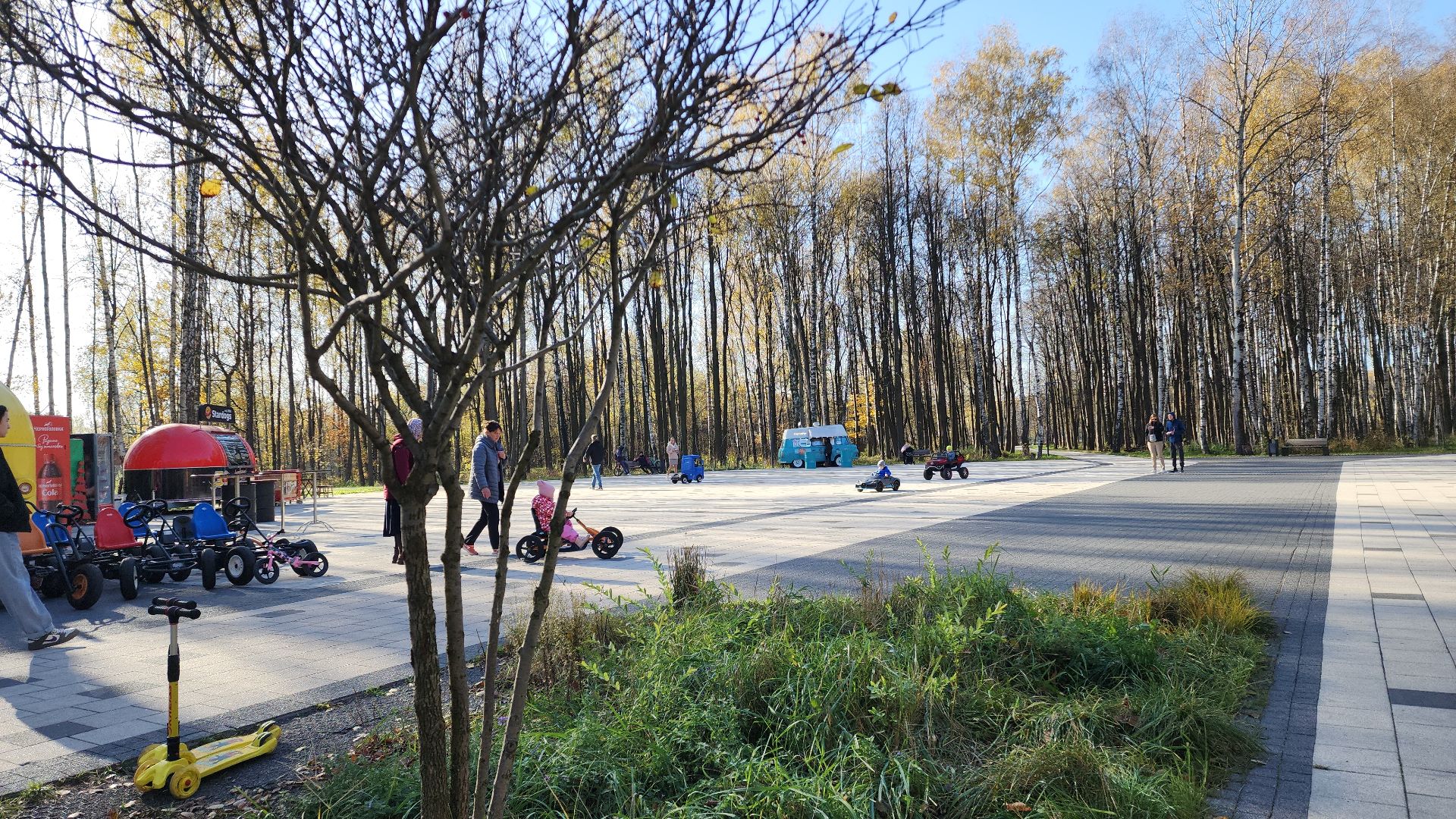 электросталь, парк авангард, мой город, благоустойство, благоустройство 2024, благоустройство парка, подготовка к зиме, администрация, администрация электростали,