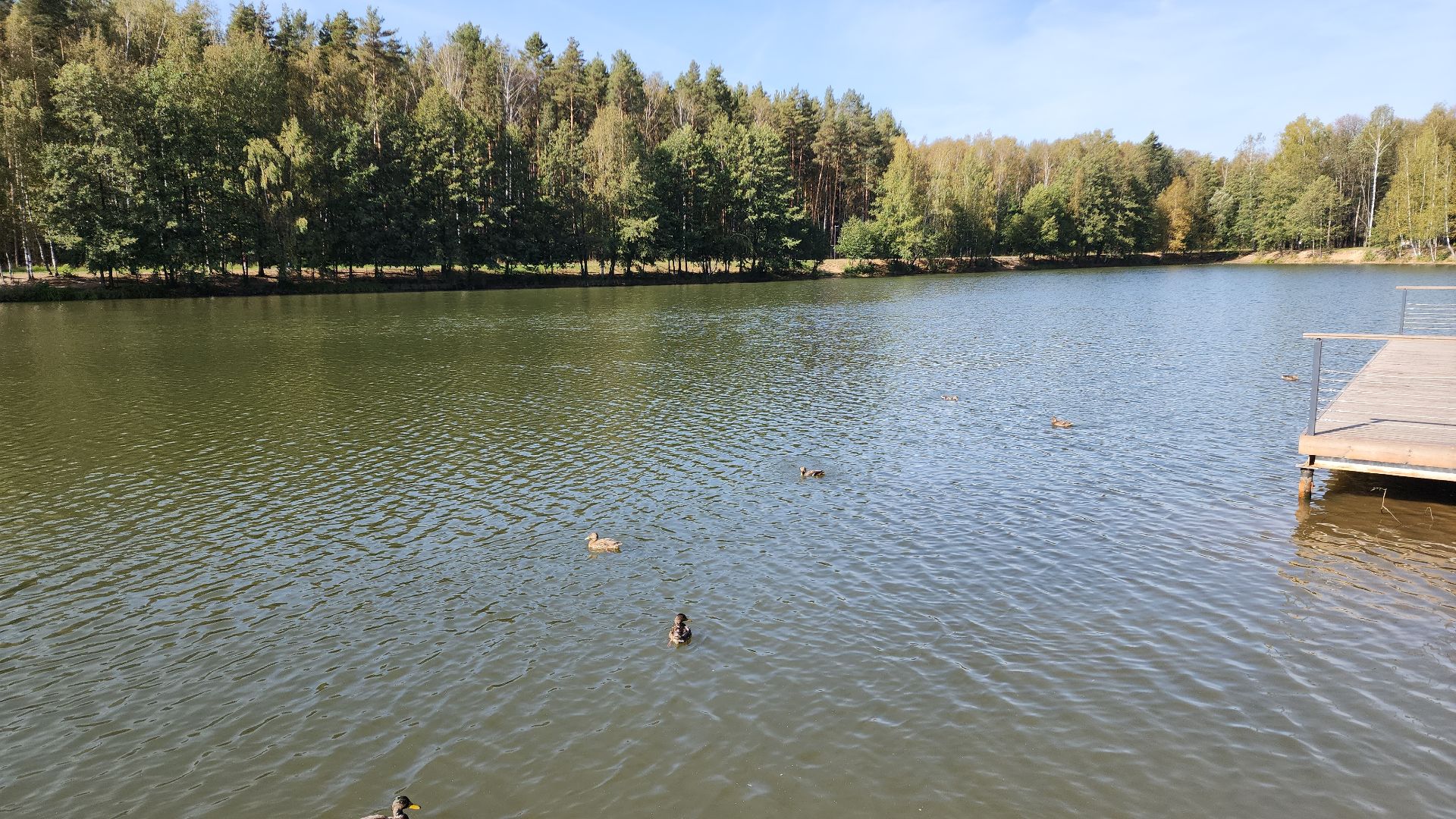 электросталь, парк авангард, мой город, благоустойство, благоустройство 2024, благоустройство парка, подготовка к зиме, администрация, администрация электростали,