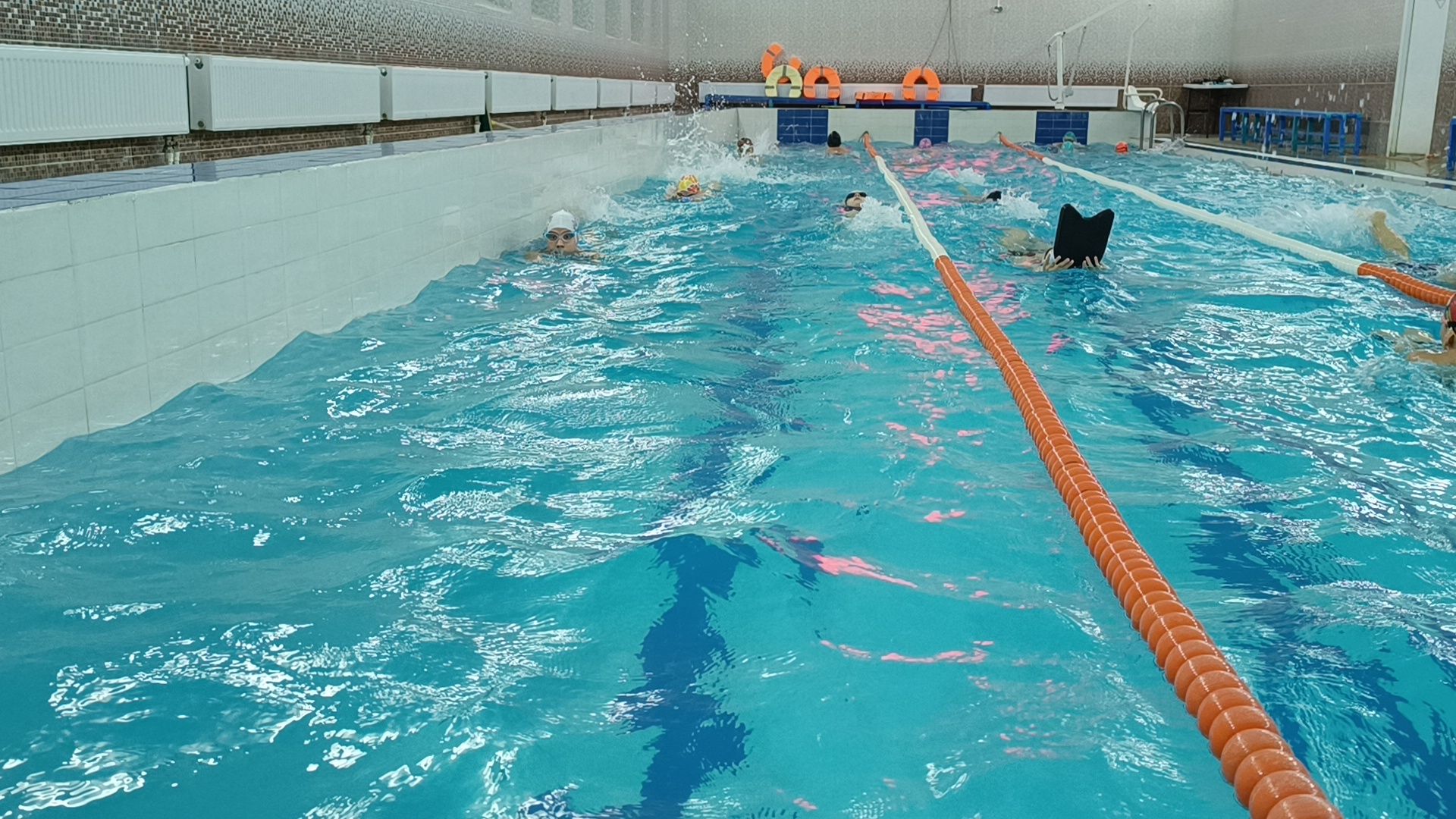 плавание, лобня, спорт,