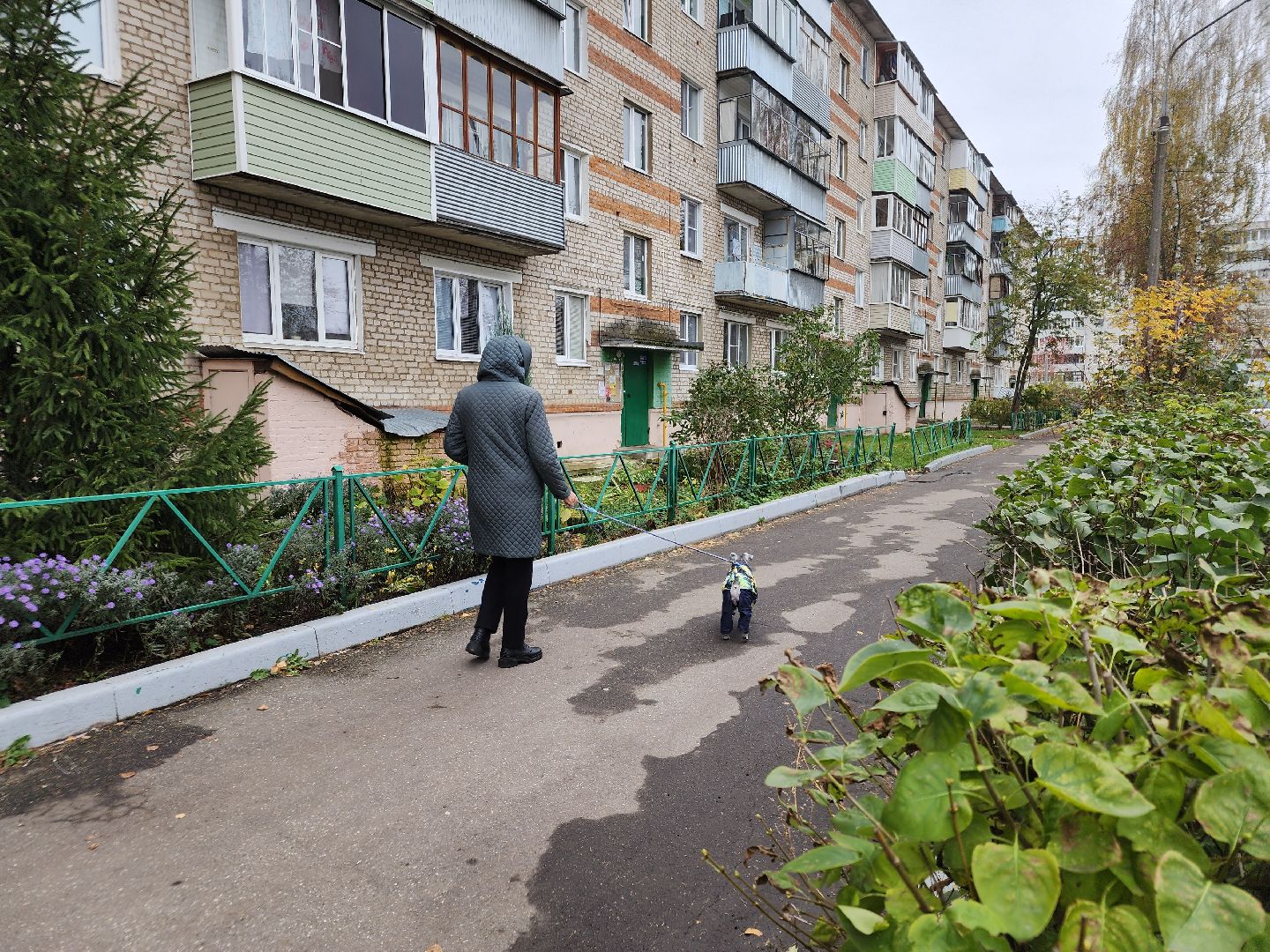 отопительный сезон 2024-2025, котельная, ликино-дулево, орехово-зуевский округ,