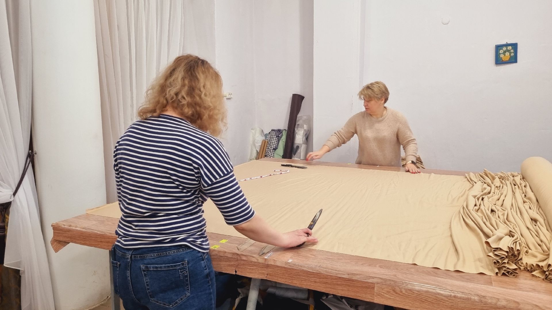 Подмосковье, Пушкинский городской округ, волонтеры,