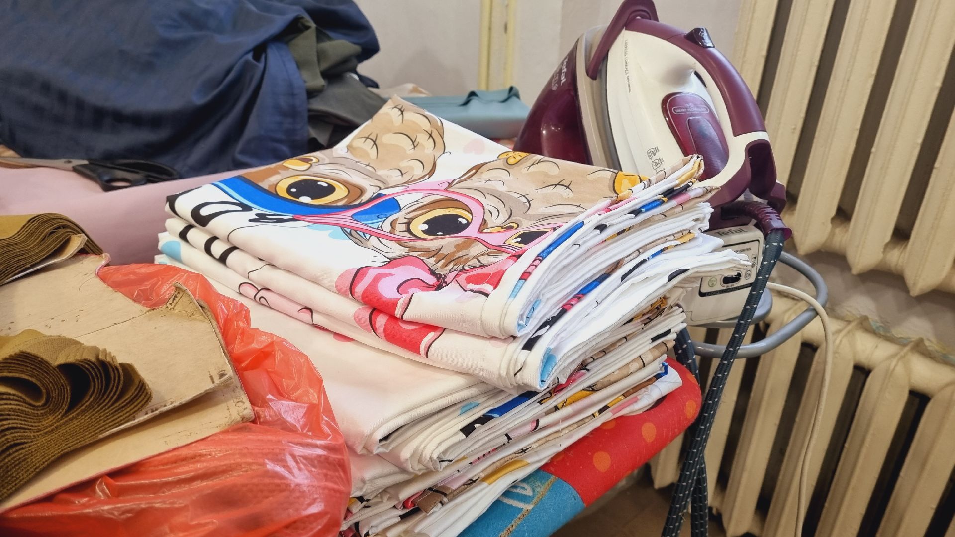 Подмосковье, Пушкинский городской округ, волонтеры,