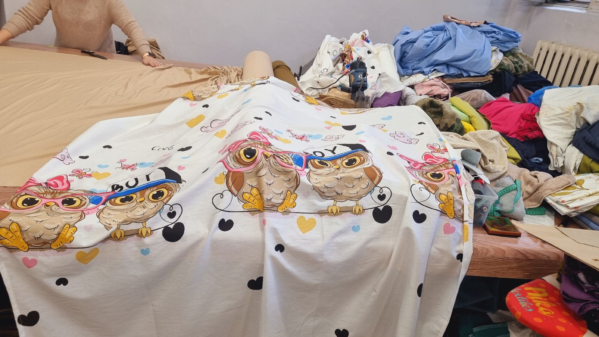 Подмосковье, Пушкинский городской округ, волонтеры,