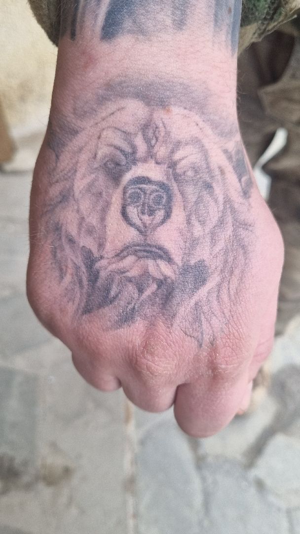 Подмосковье, Пушкинский городской округ, волонтеры,