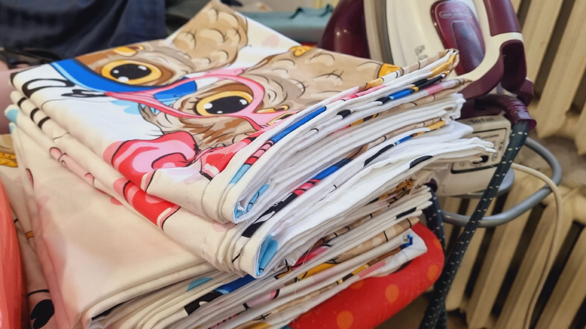 Подмосковье, Пушкинский городской округ, волонтеры,