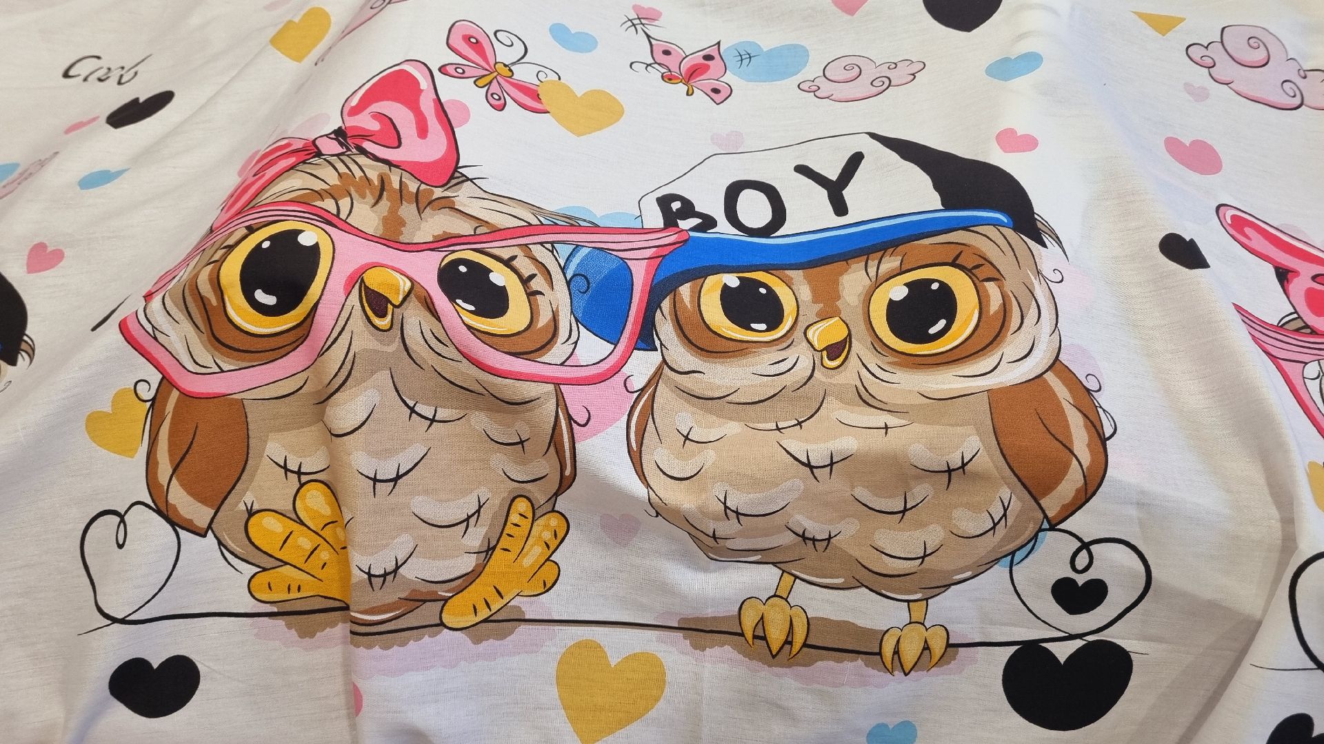 Подмосковье, Пушкинский городской округ, волонтеры,