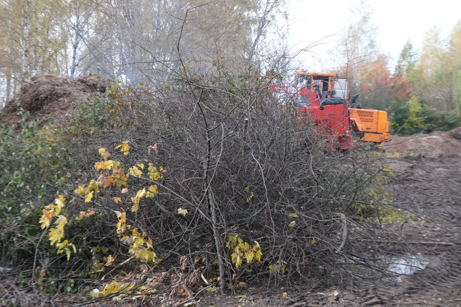 пущино, серпухов, благоустройство,