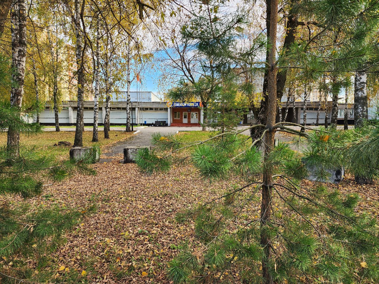 раменское, образование, урок пенсионной грамотности в раменском колледже,