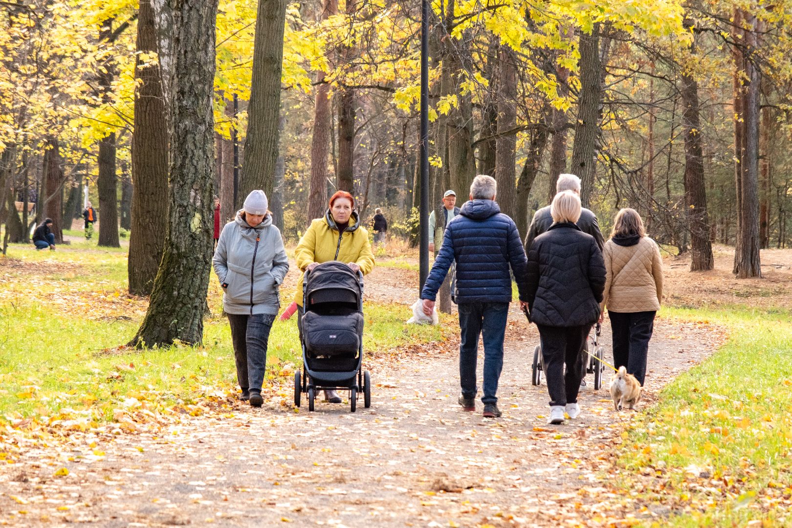 Лыткарино, благоуйстройство, Волкуша,