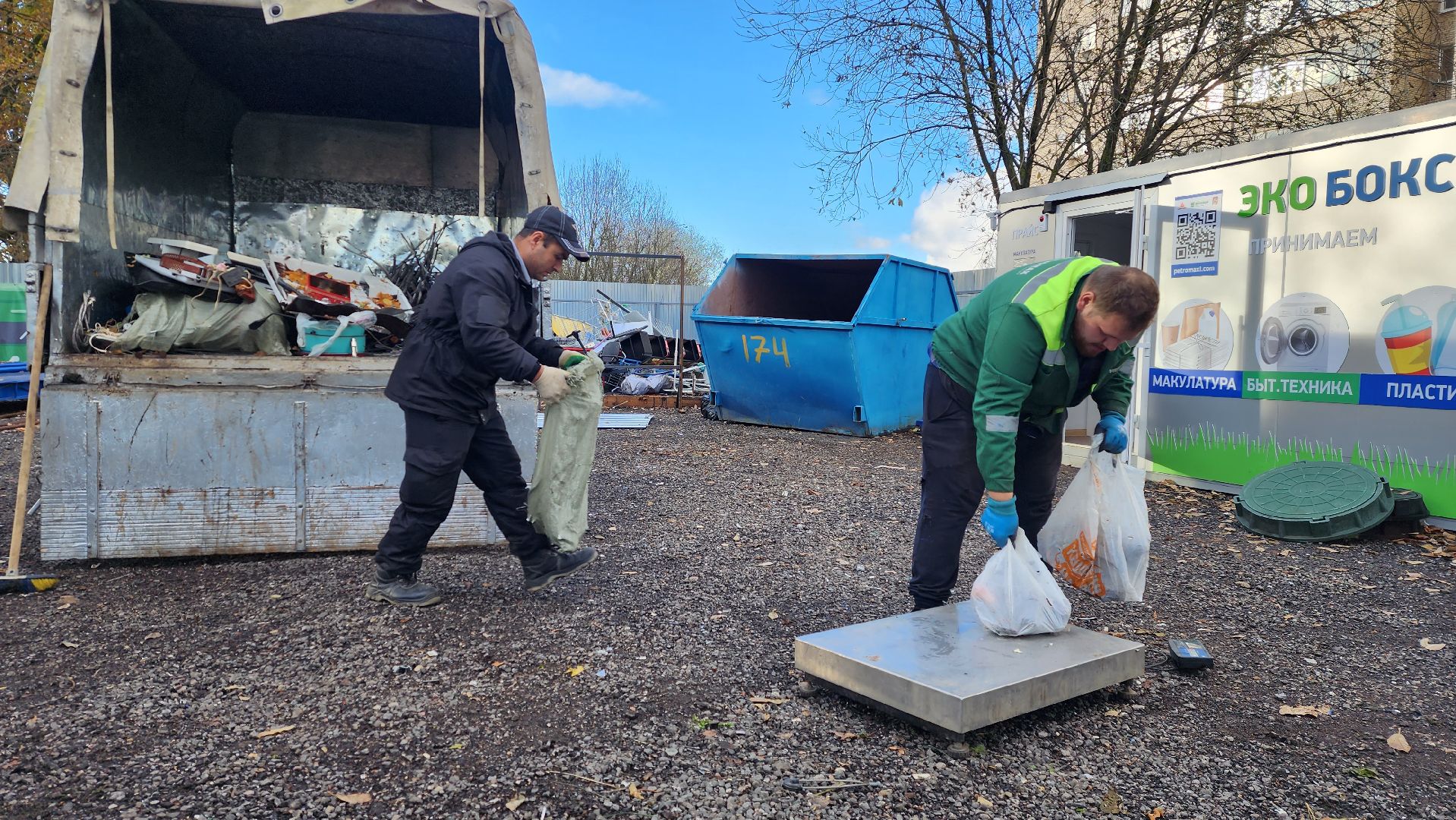 экология, мегабак, общество,