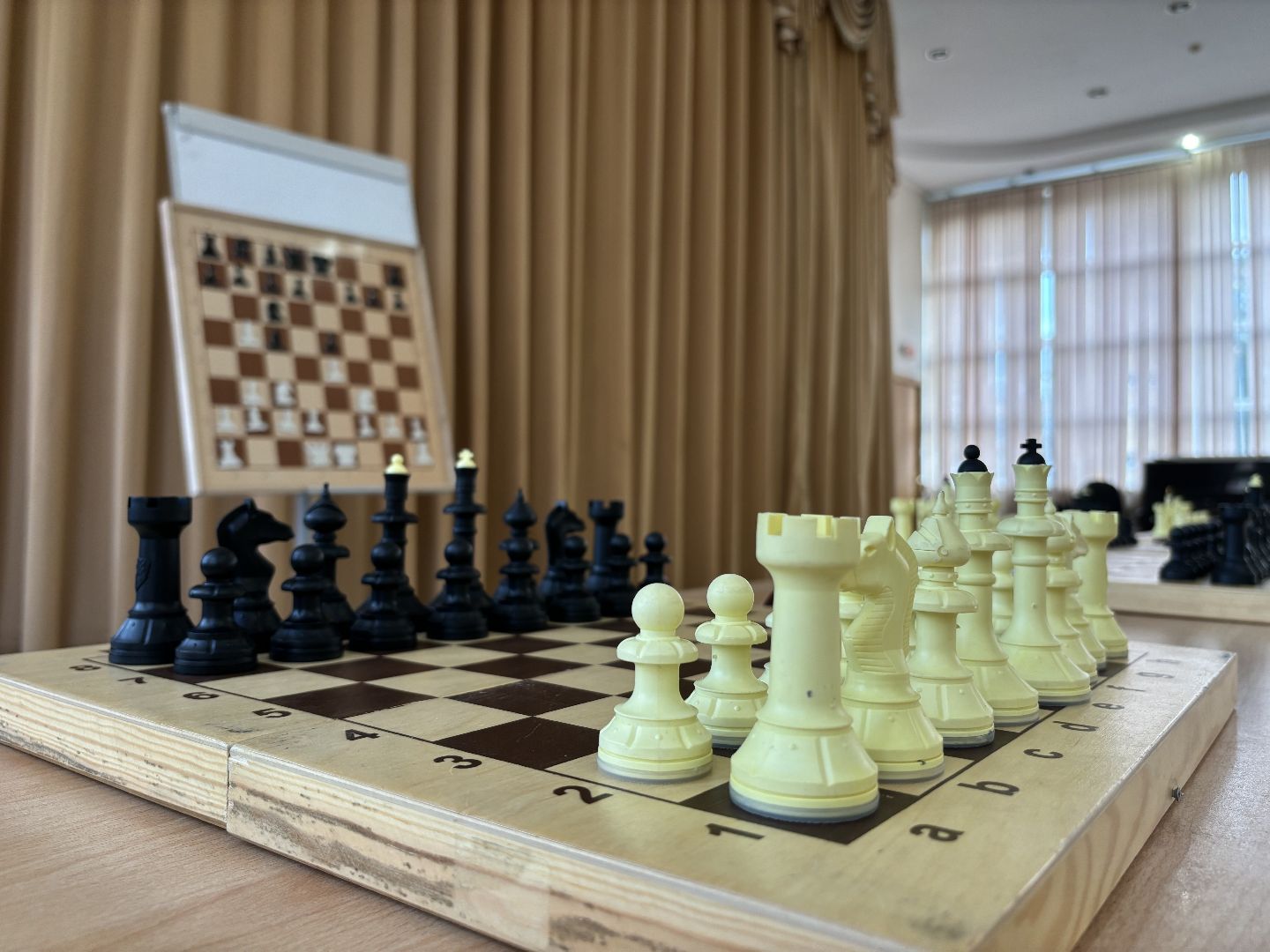 Школьная лига, шахматисты,