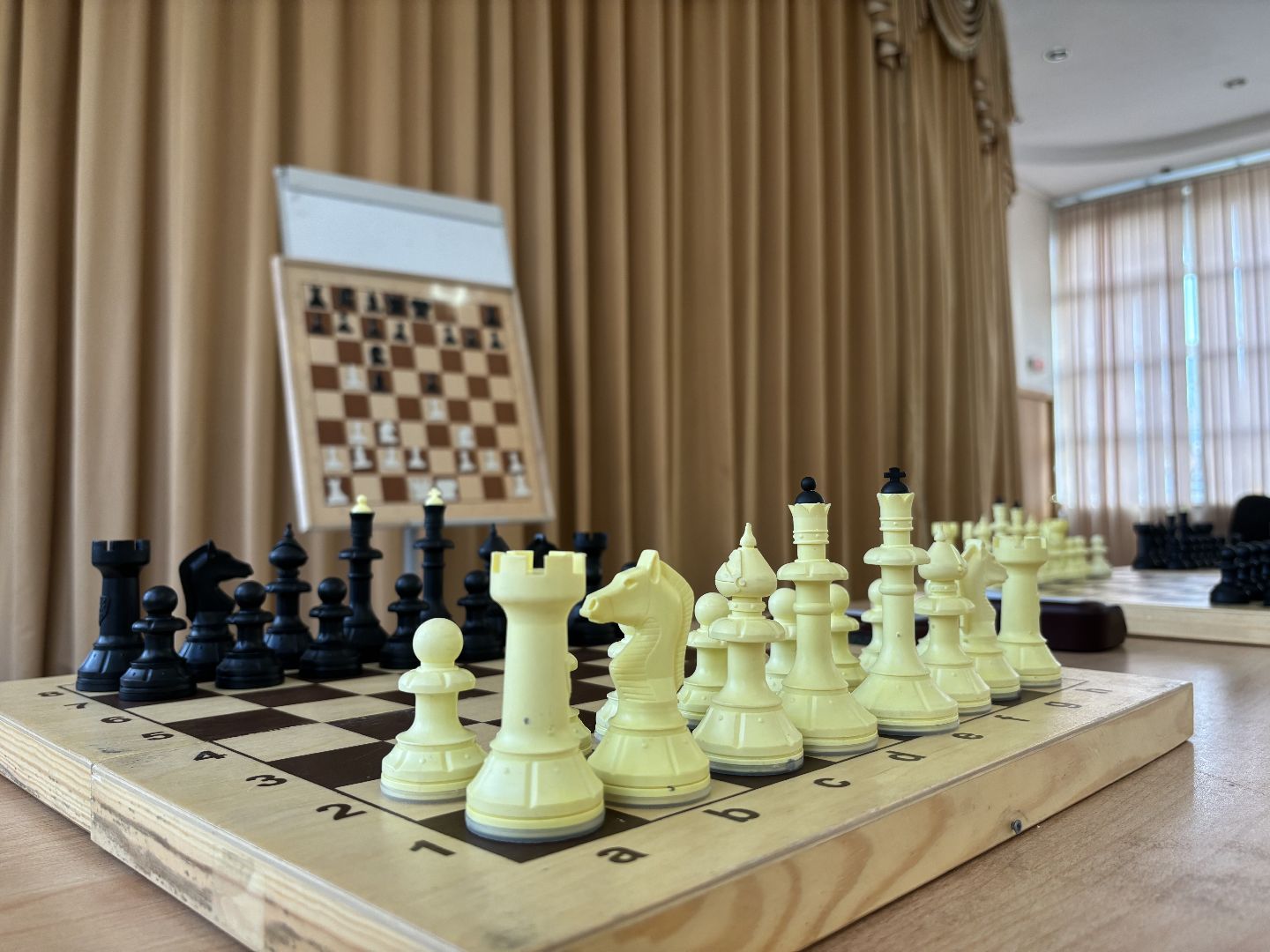 Школьная лига, шахматисты,