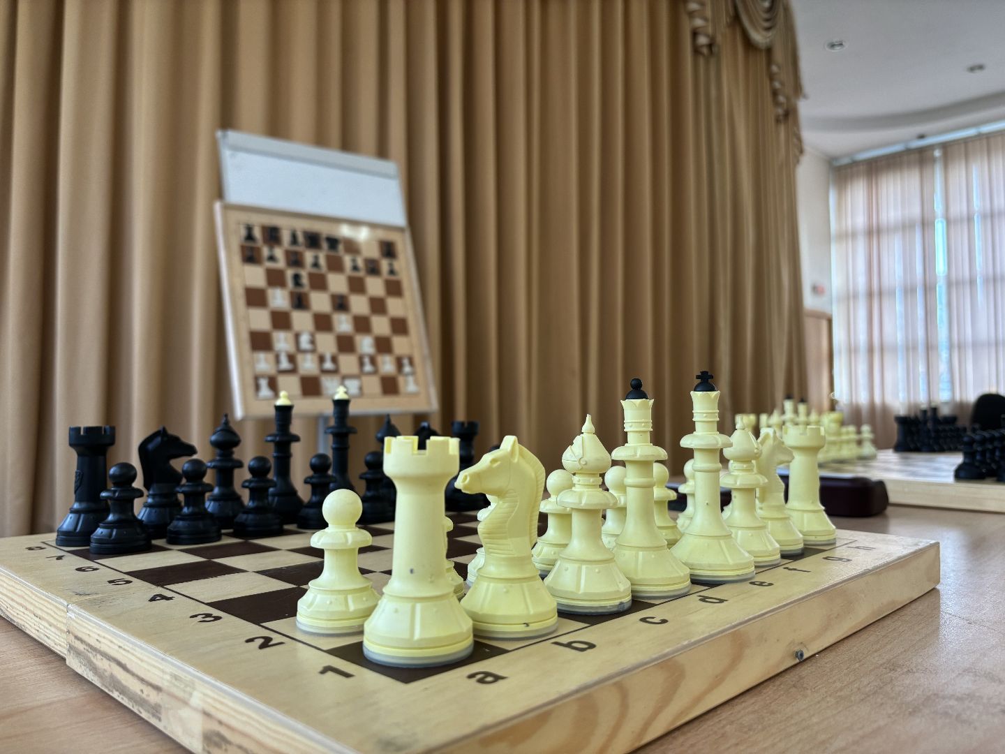 Школьная лига, шахматисты,