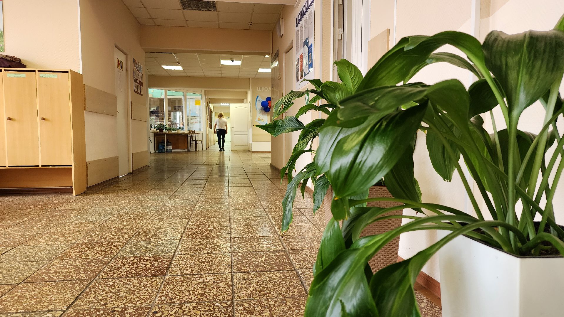 грант Министерства образования, центр образования, Всероссийская олимпиада школьников, село Ямкино, Богородский городской округ,