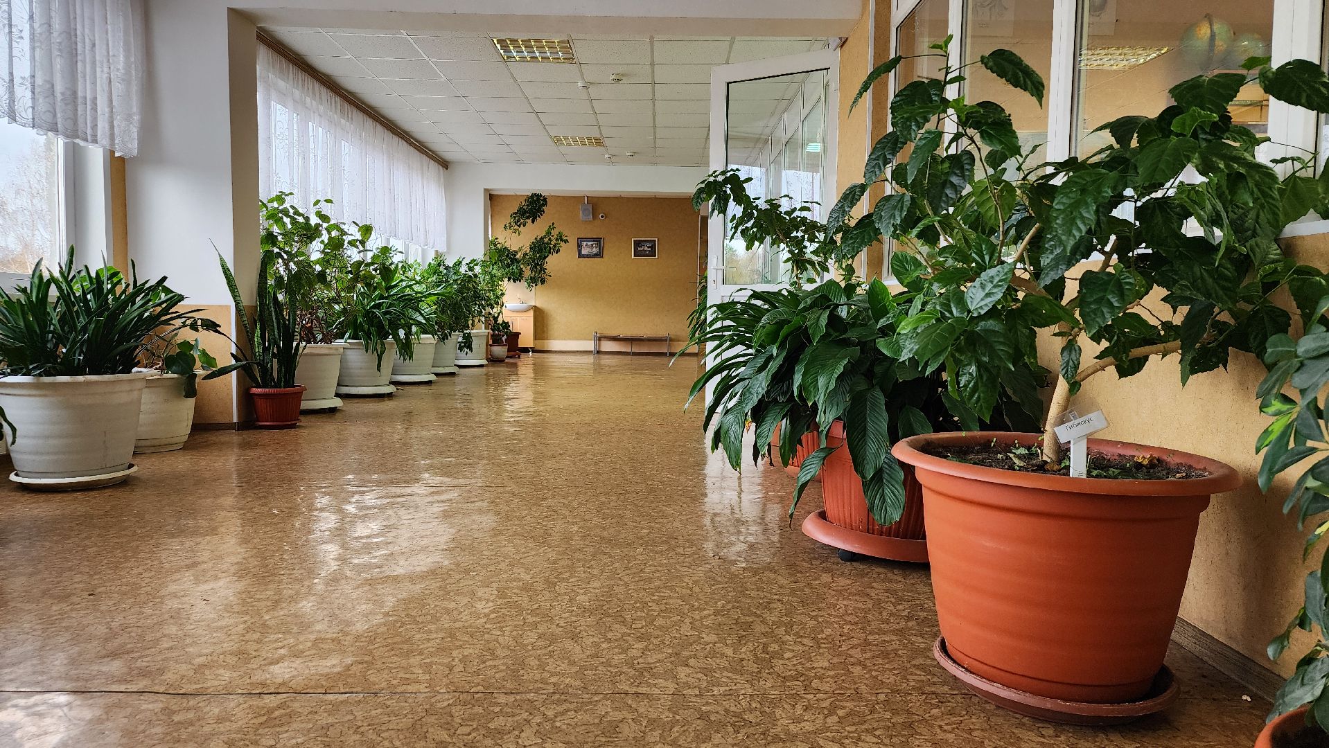 грант Министерства образования, центр образования, Всероссийская олимпиада школьников, село Ямкино, Богородский городской округ,