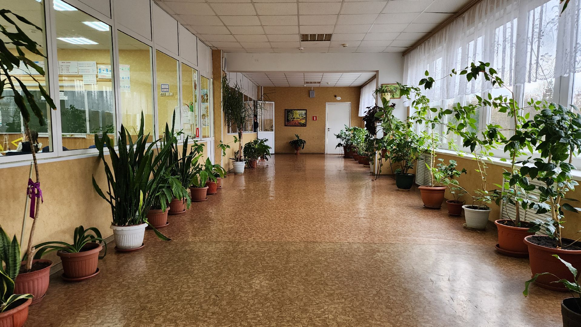 грант Министерства образования, центр образования, Всероссийская олимпиада школьников, село Ямкино, Богородский городской округ,