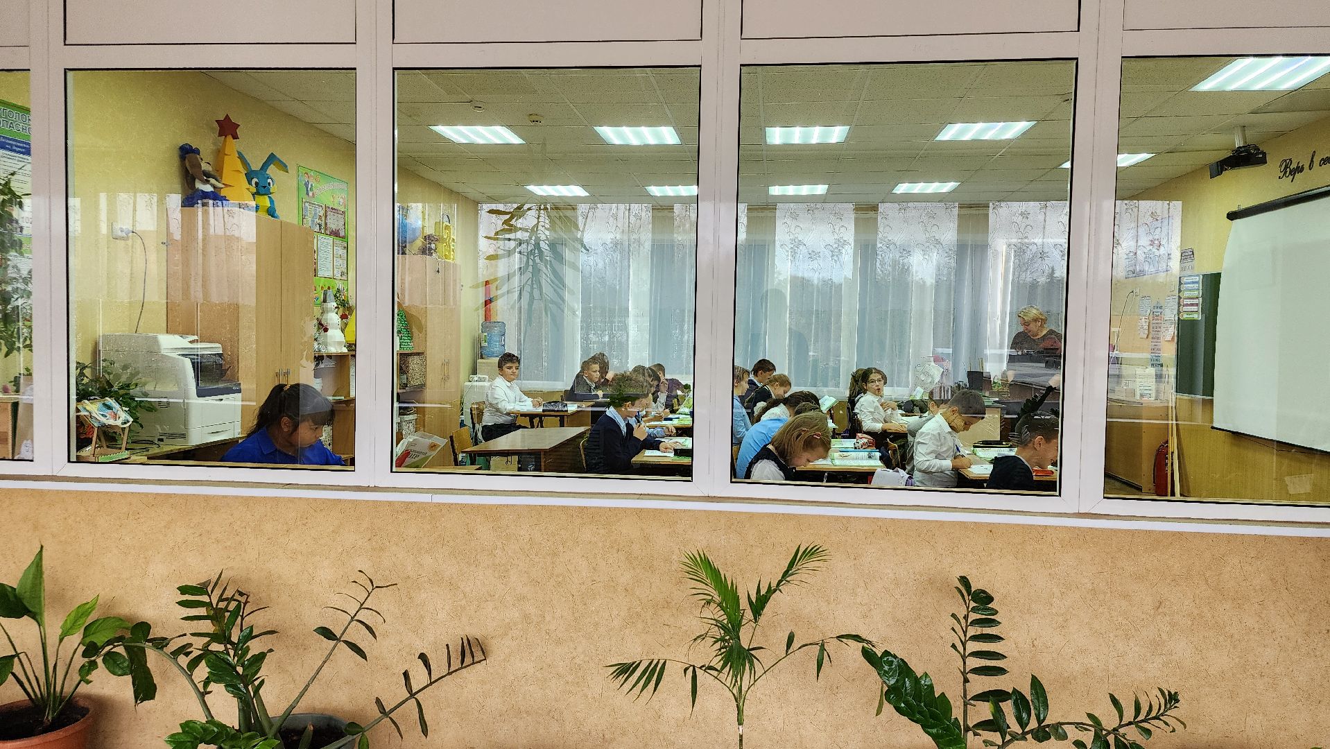 грант Министерства образования, центр образования, Всероссийская олимпиада школьников, село Ямкино, Богородский городской округ,