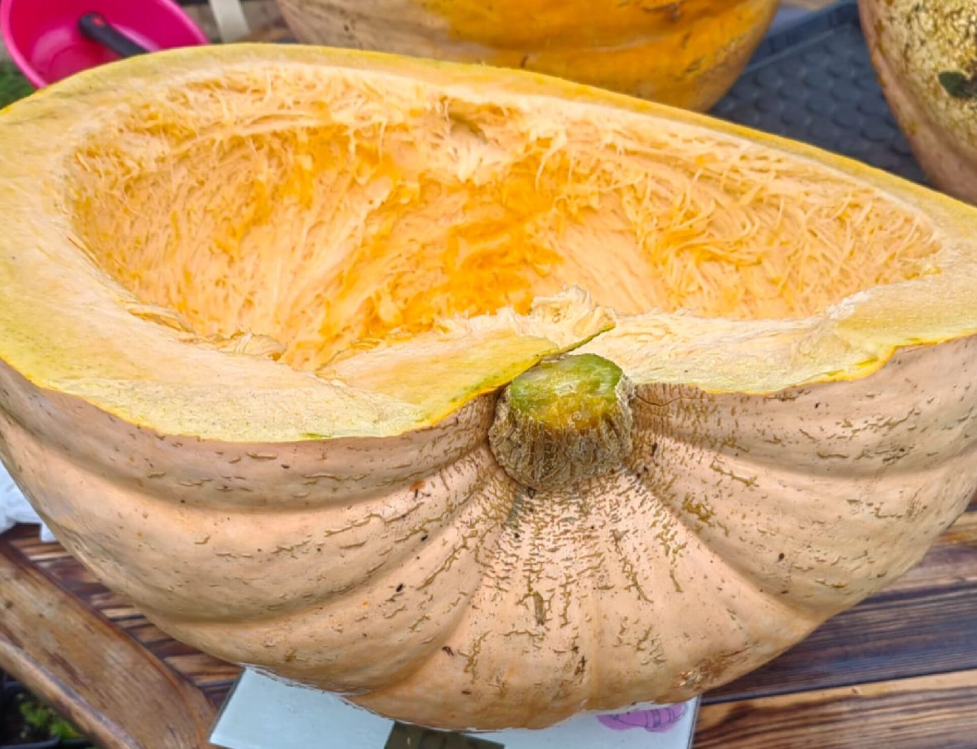 Звенигород, сельское хозяйство, Люди,