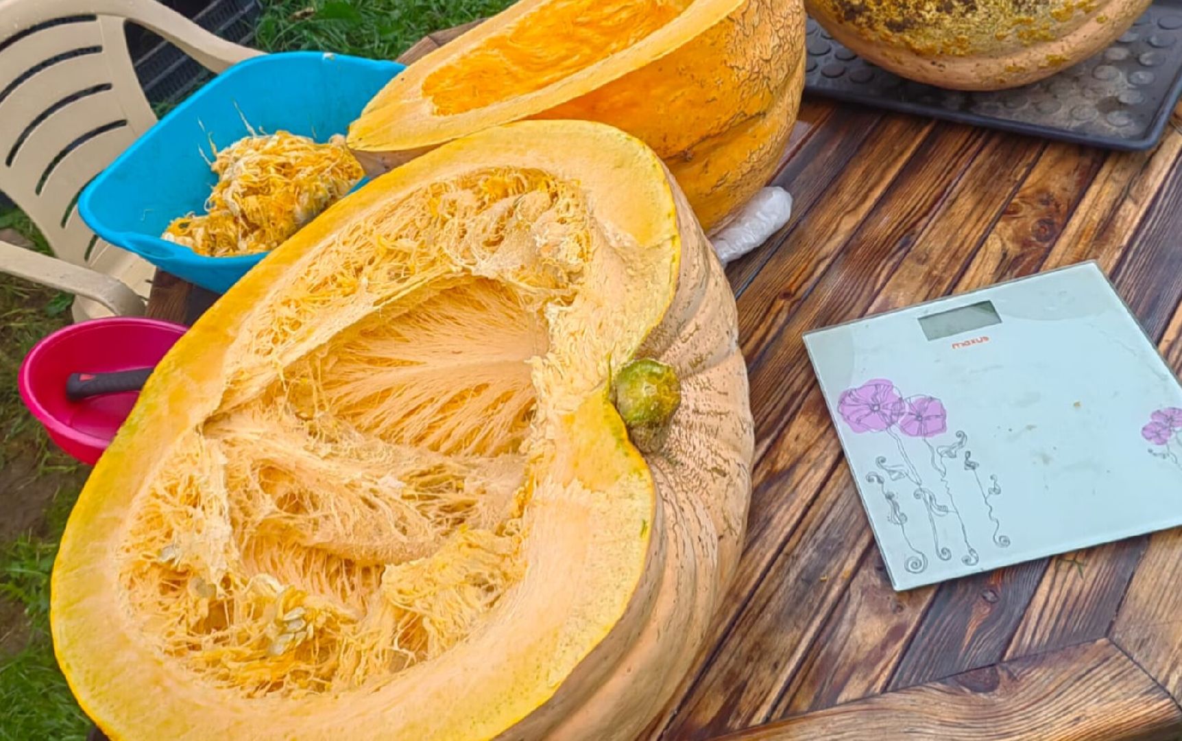 Звенигород, сельское хозяйство, Люди,