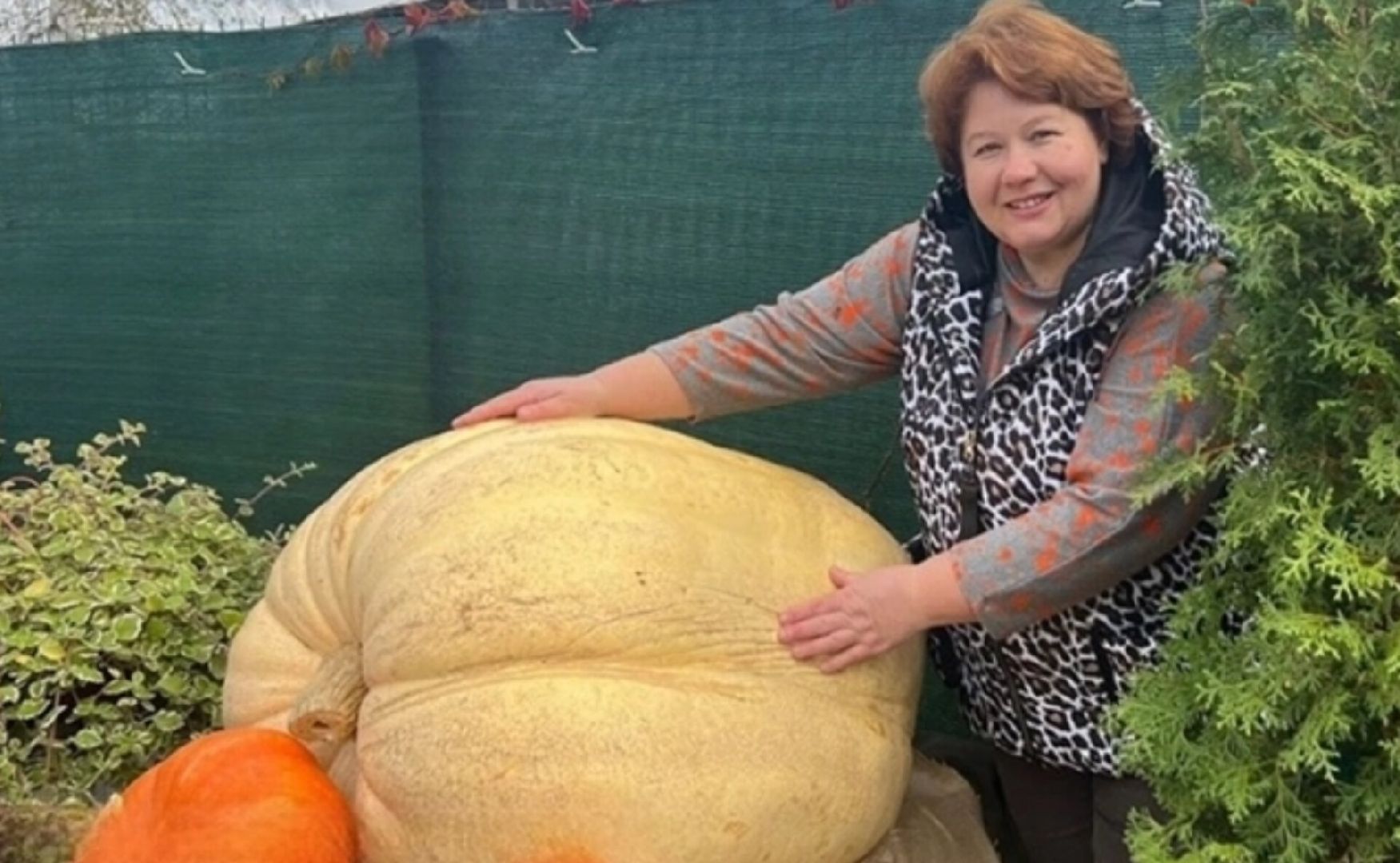 Звенигород, сельское хозяйство, Люди,