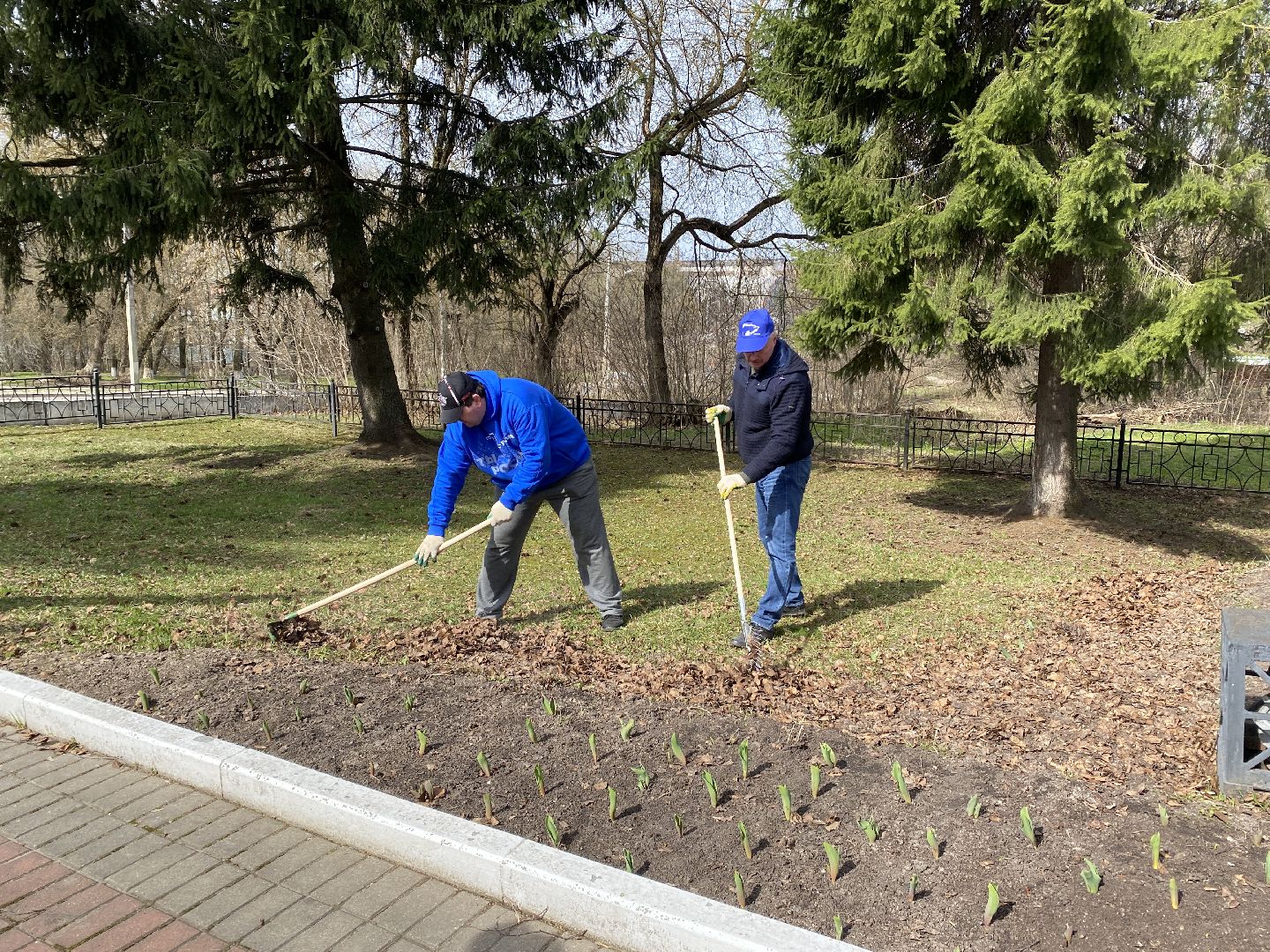 Чехов, субботник, молодогвардейцы, благоустройство, парк