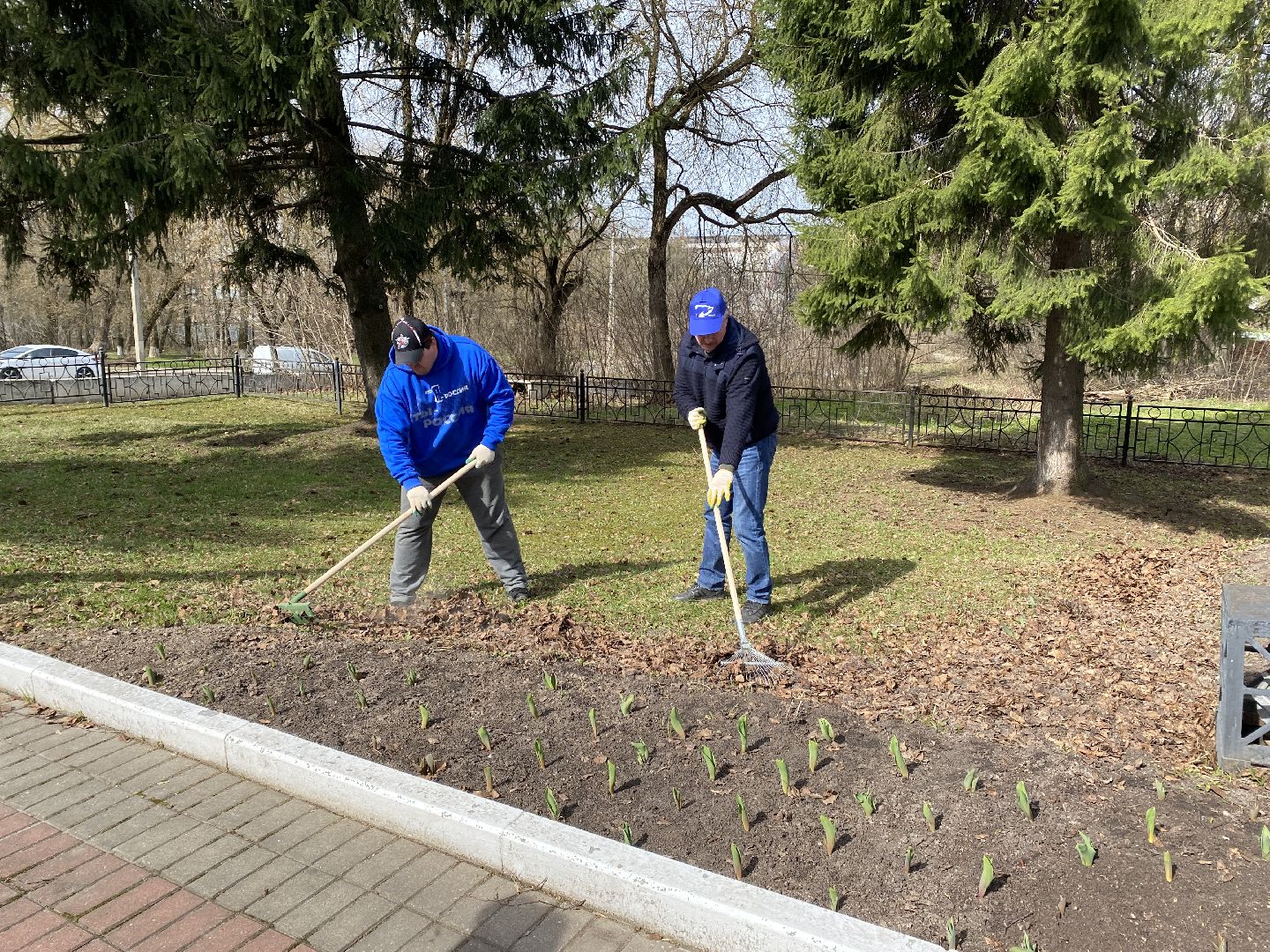 Чехов, субботник, молодогвардейцы, благоустройство, парк