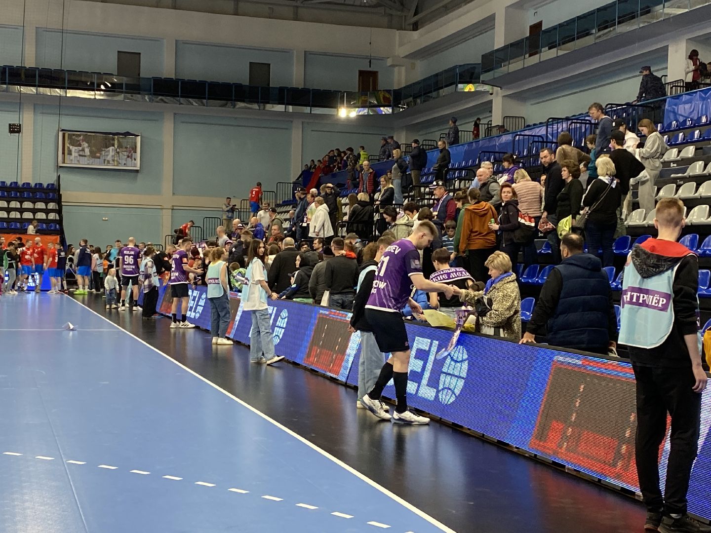 Чеховские медведи, спорт, Чехов, ЦСКА, гандбол