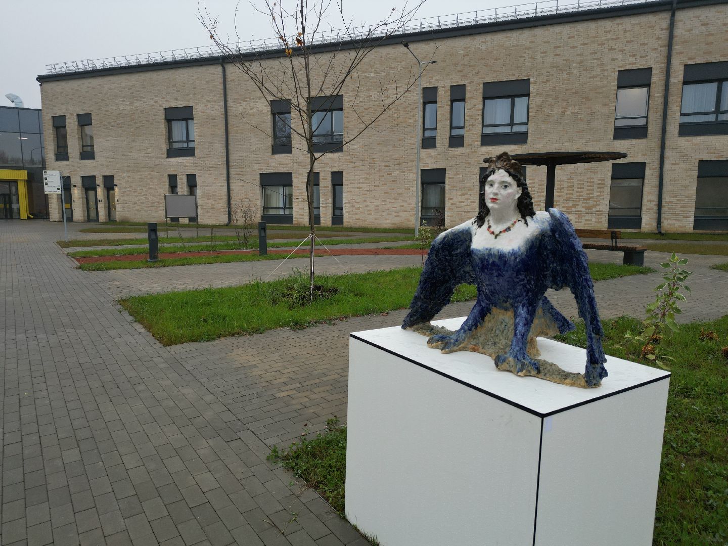 видео с коптера, сергиев посад, медицина, реабилитация, инвалиды,