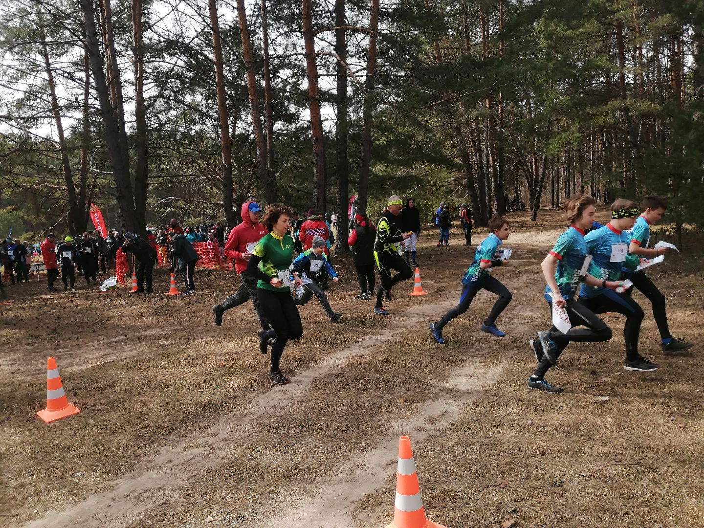 протвинские сосны, спортивное ориентирование, Протвино, спорт, дюц горизонт
