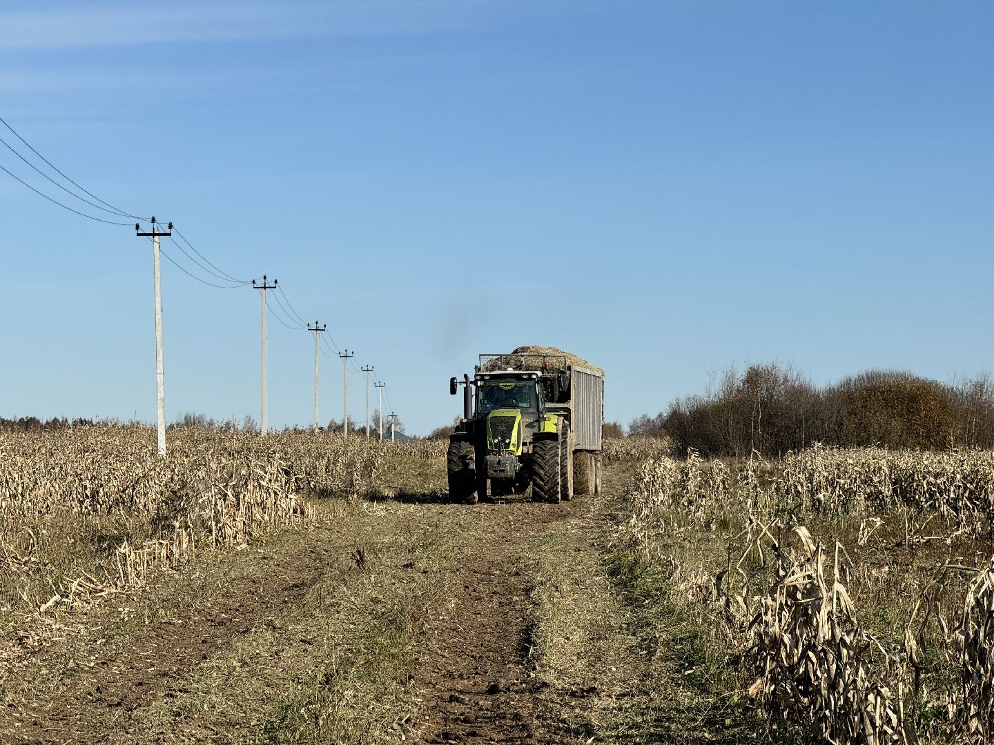 шаховская, сельское хозяйство, урожай,уборка урожая, кукуруза,
