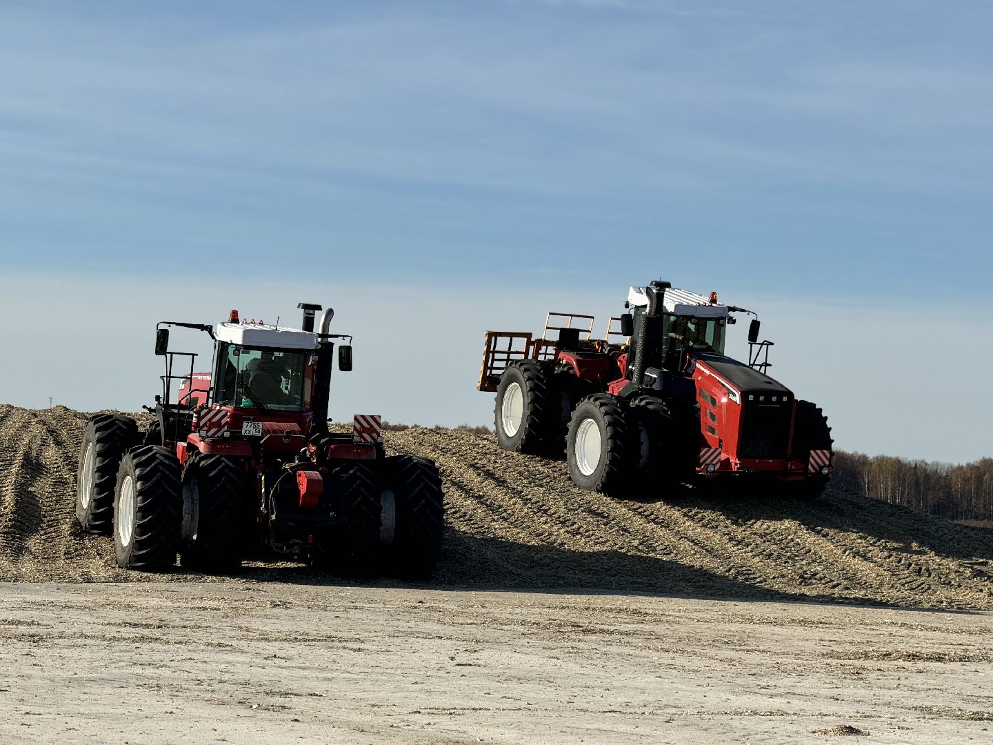 шаховская, сельское хозяйство, урожай,уборка урожая, кукуруза,