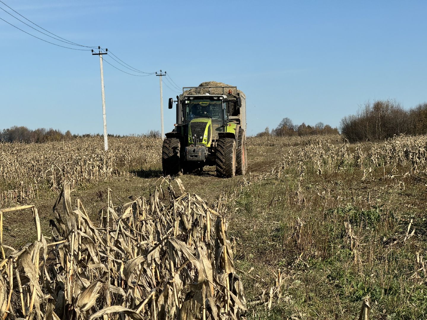 шаховская, сельское хозяйство, урожай,уборка урожая, кукуруза,