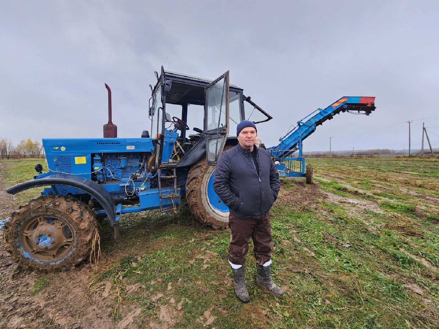 можайск, можайский городской округ, подмосковье, сельское хозяйство, сбор урожая, морковь, картофель, сбор овощей, крестьянско-фермерское хозяйство, хороший урожай,