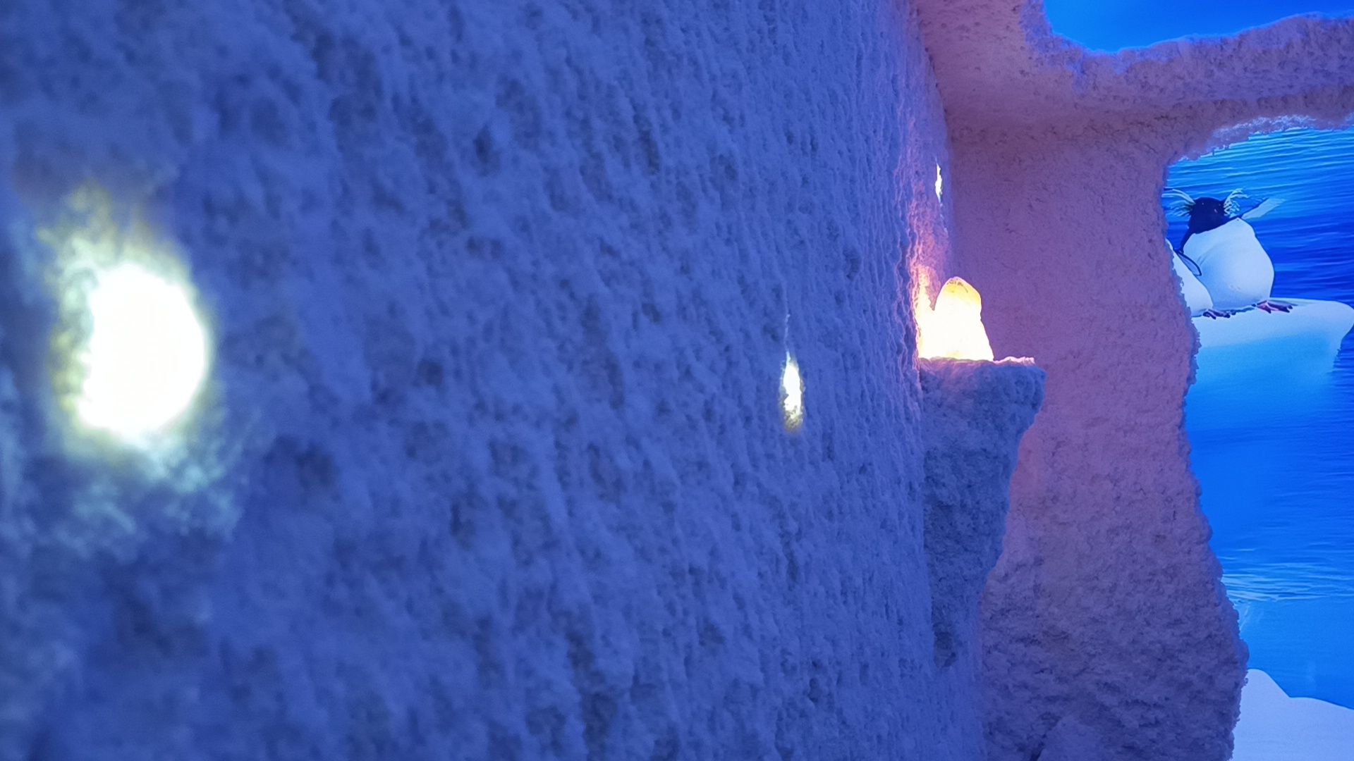 школа, соляная комната, лобня,