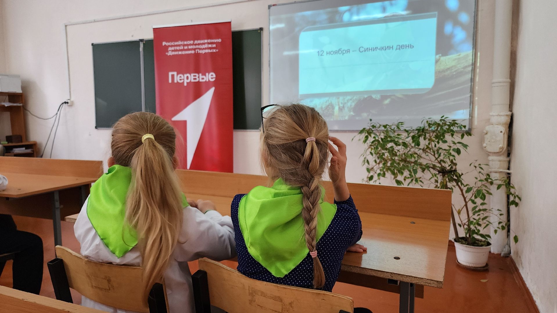 кашира, юннаты, движение первых,