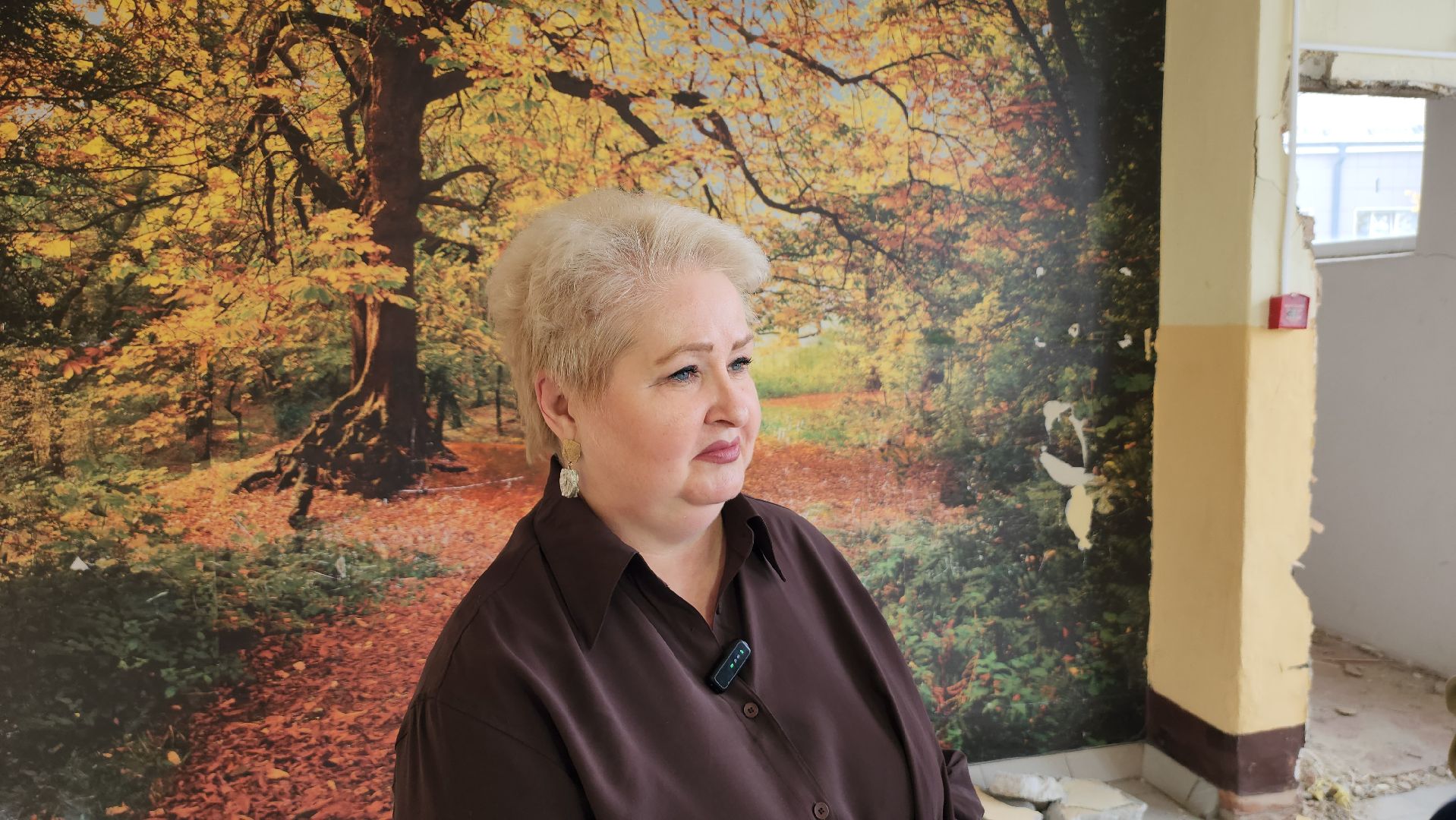 серпухов, школа 9, Центр непрерывного образования, улица советская, корпус 1, капитальный ремонт школы,